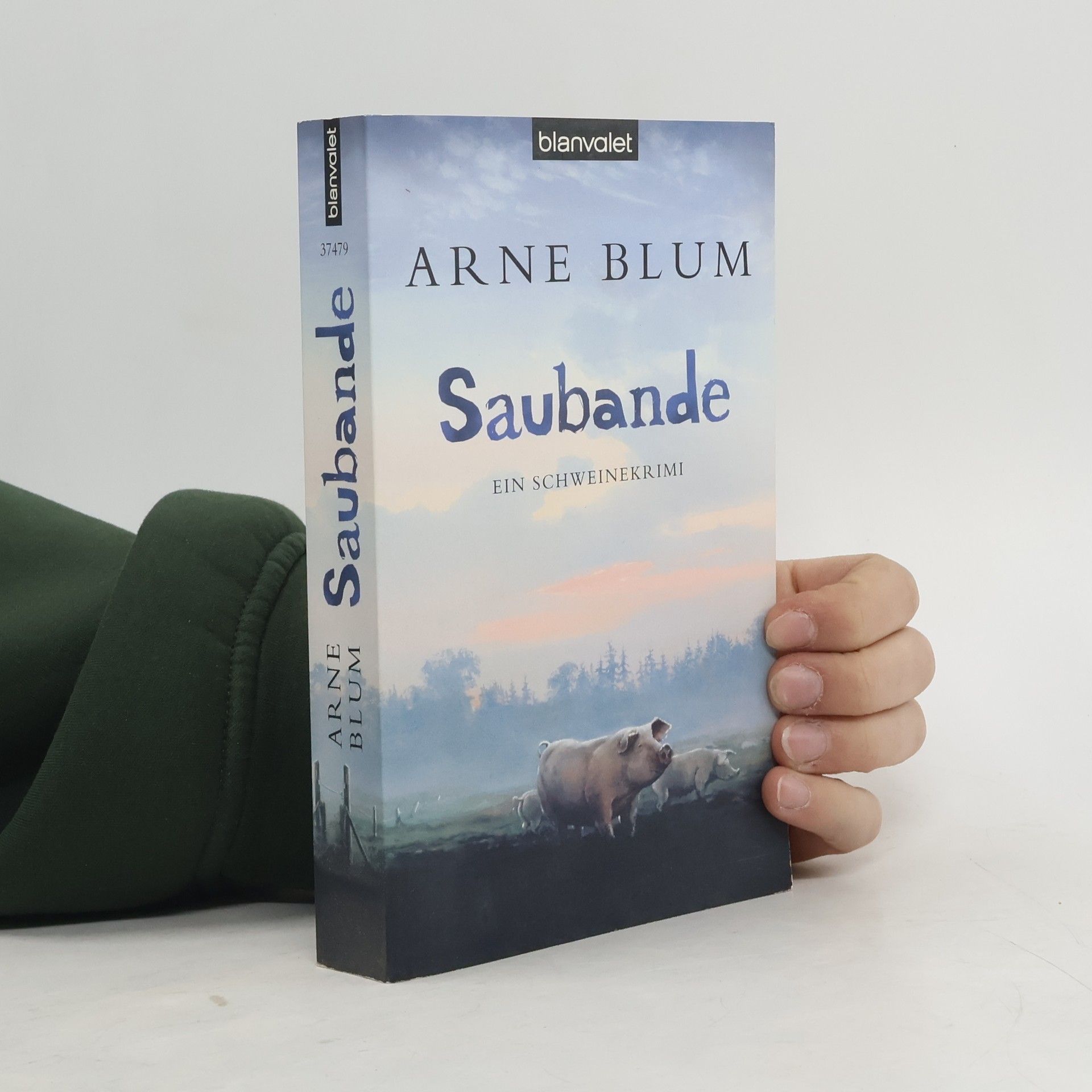 Arne Blum Saubande