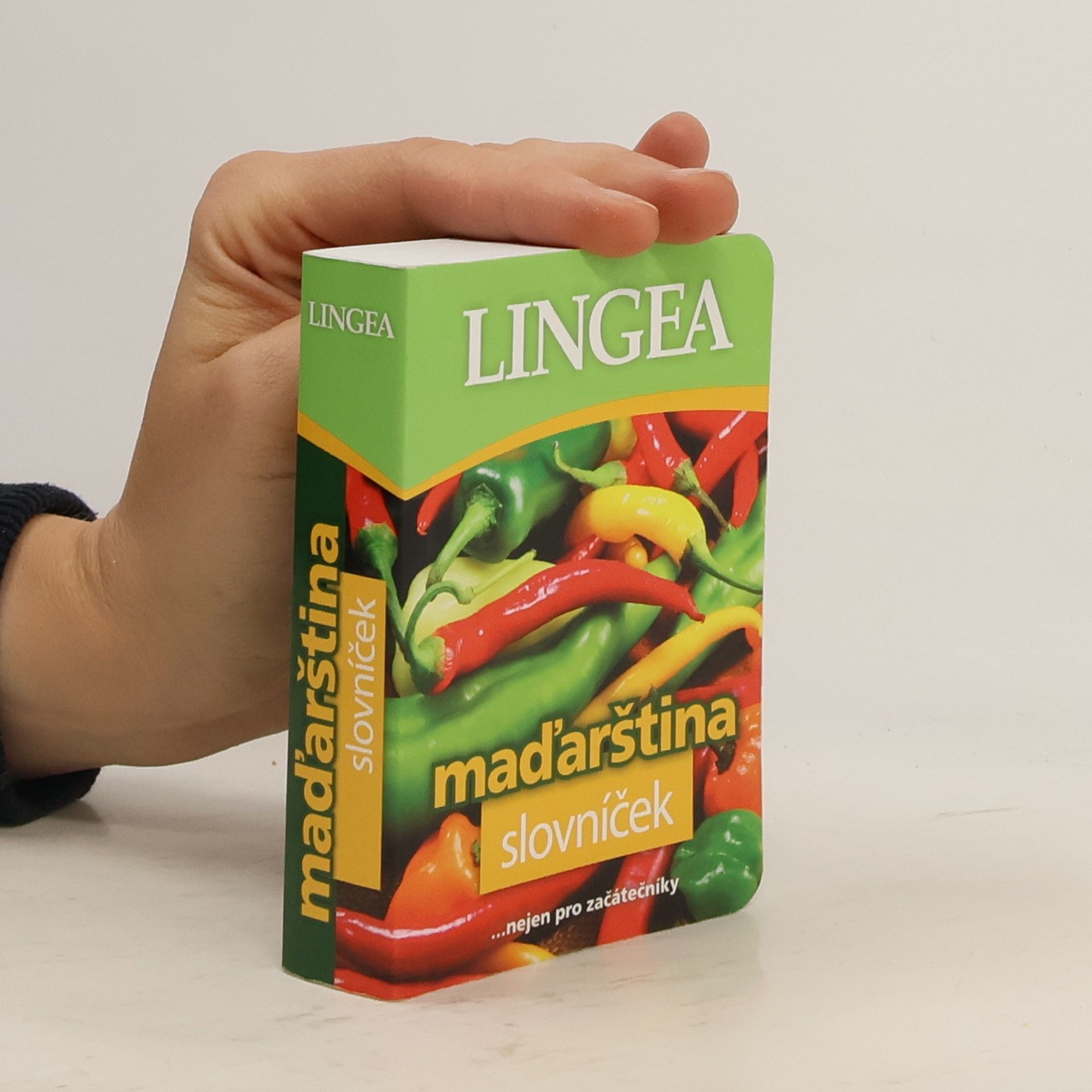 Kolektív autorov Maďarština. Slovníček