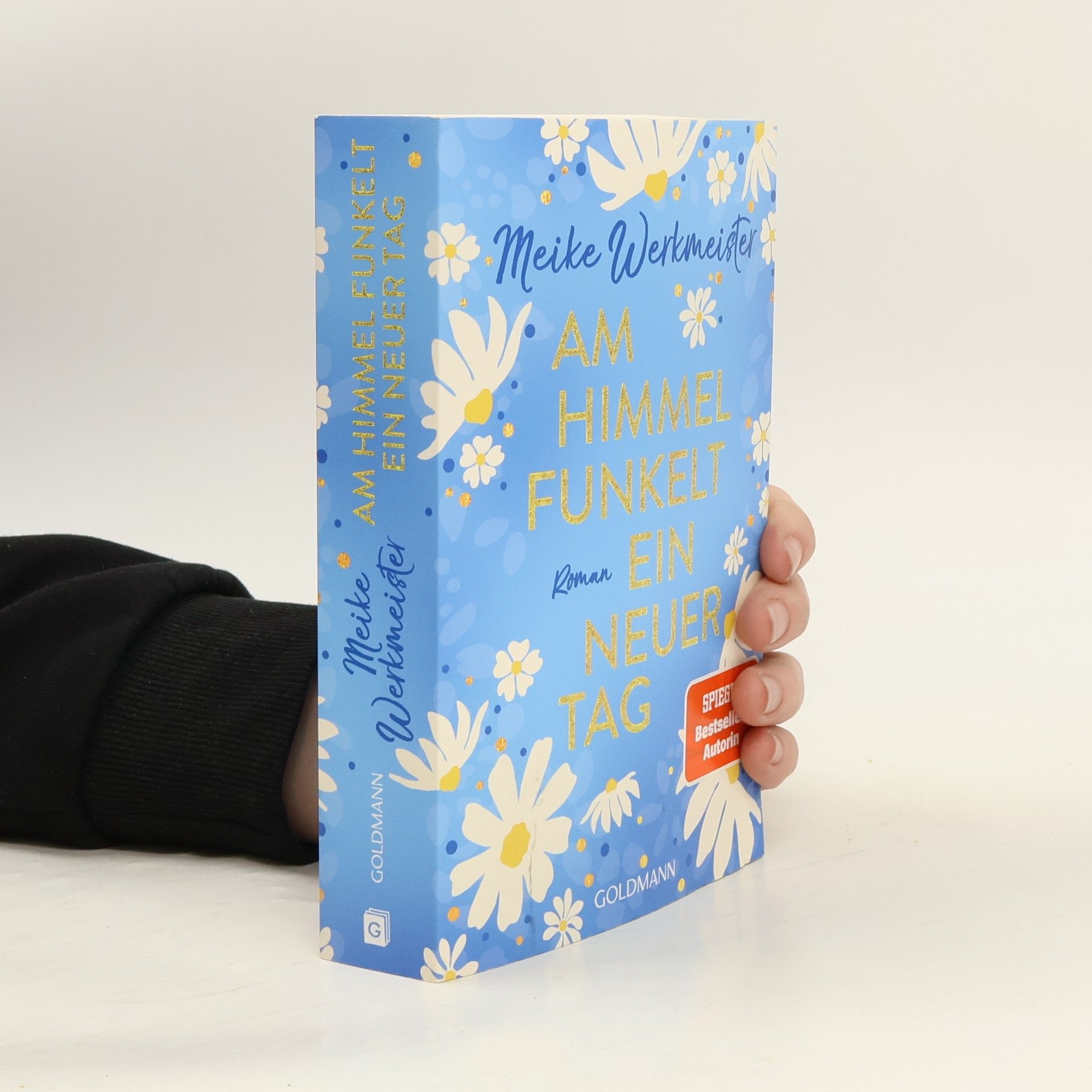 Meike Werkmeister Am Himmel funkelt ein neuer Tag