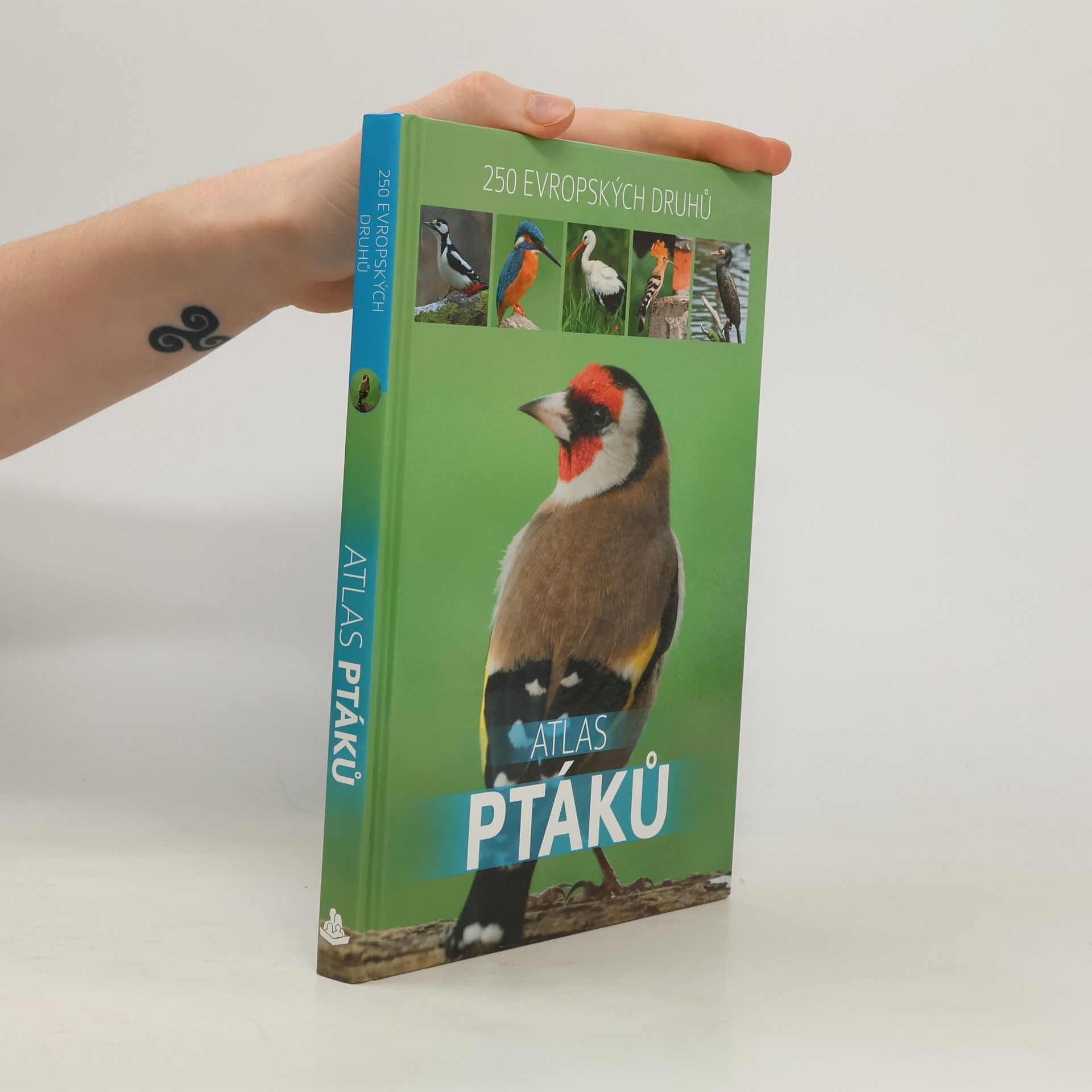 Atlas ptáků : 250 evropských druhů