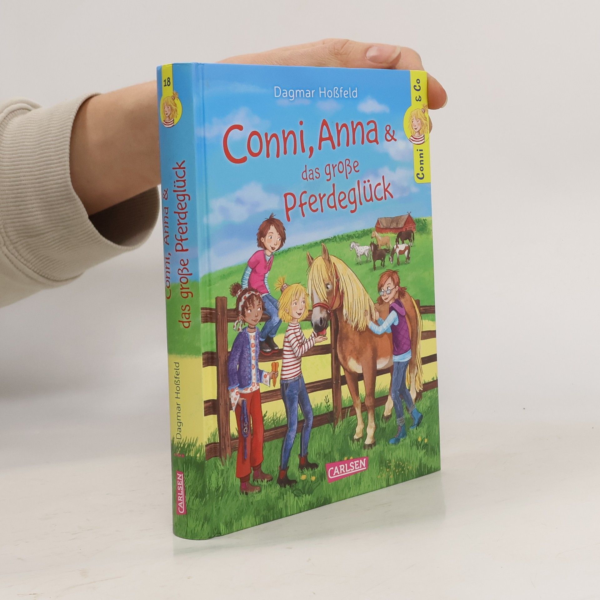 Conni & Co 18: Conni, Anna und das große Pferdeglück