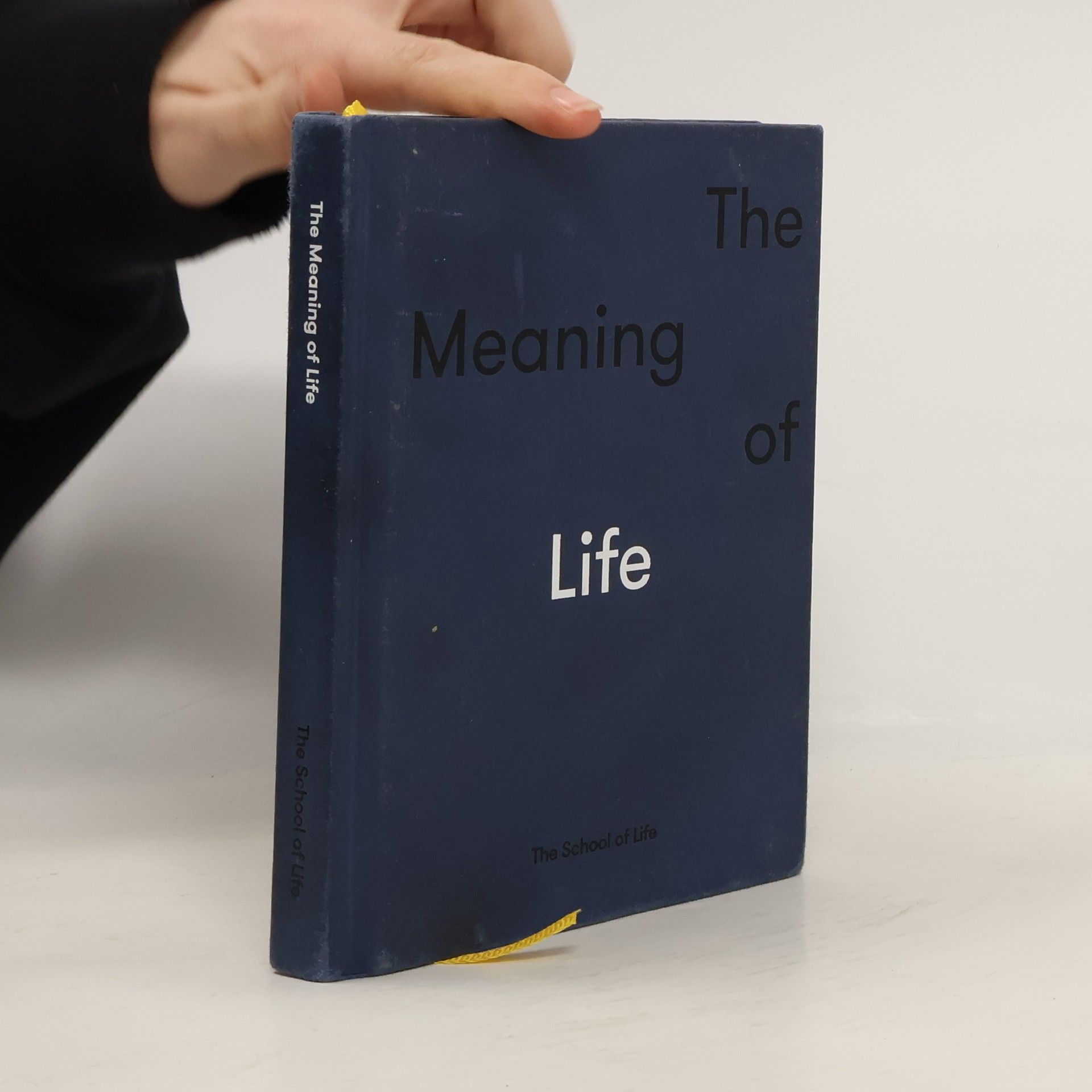 The School The School of Life The Meaning of Life
