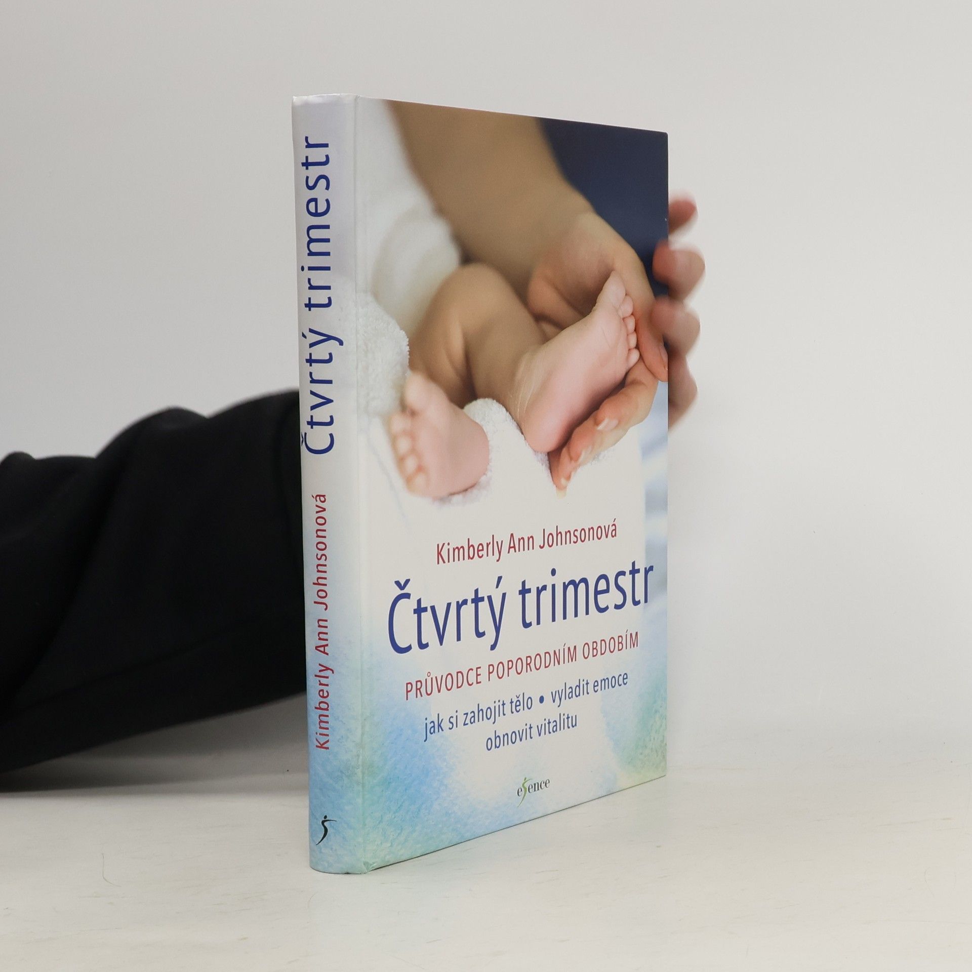 Čtvrtý trimestr: Průvodce poporodním obdobím