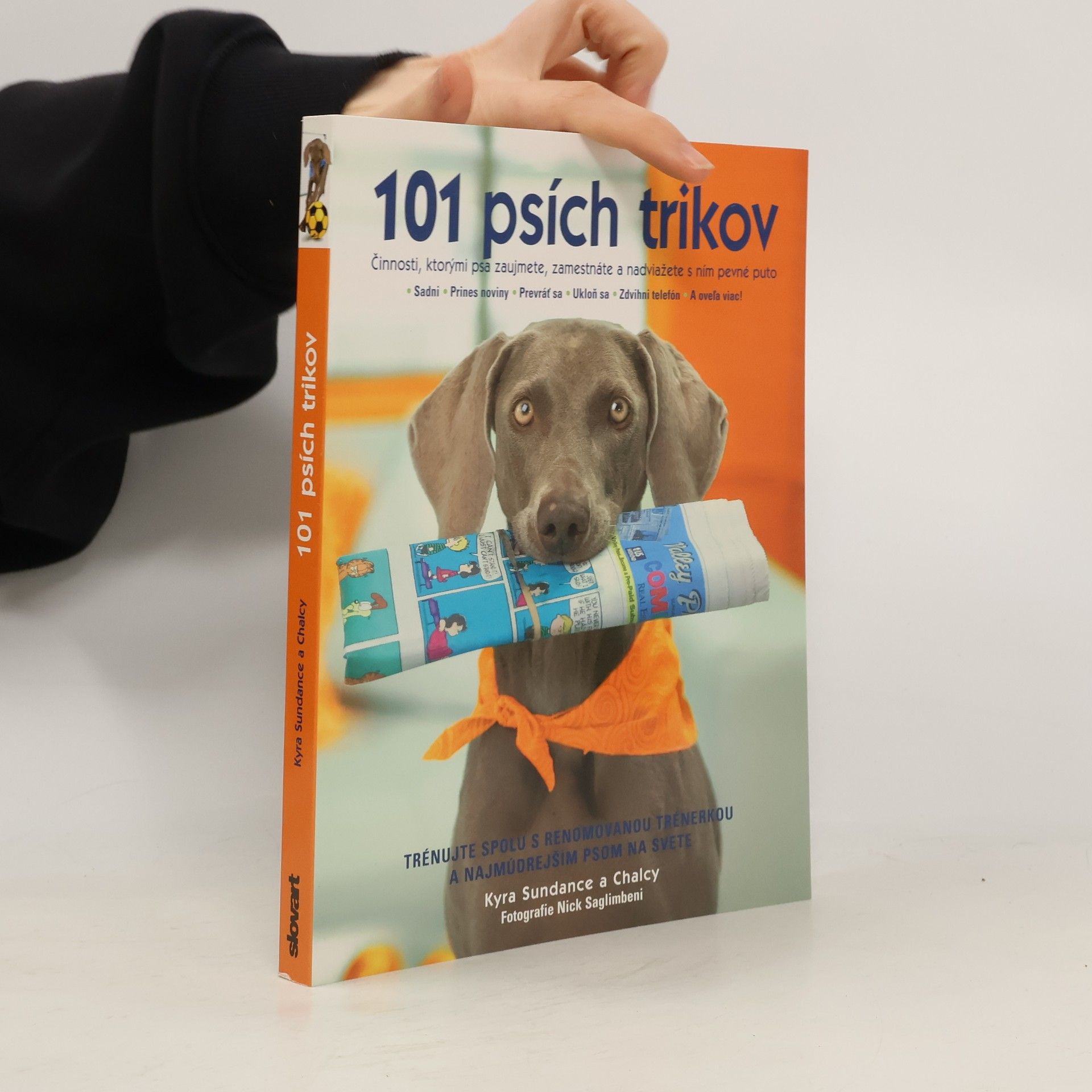 Kyra Sundance 101 psích trikov