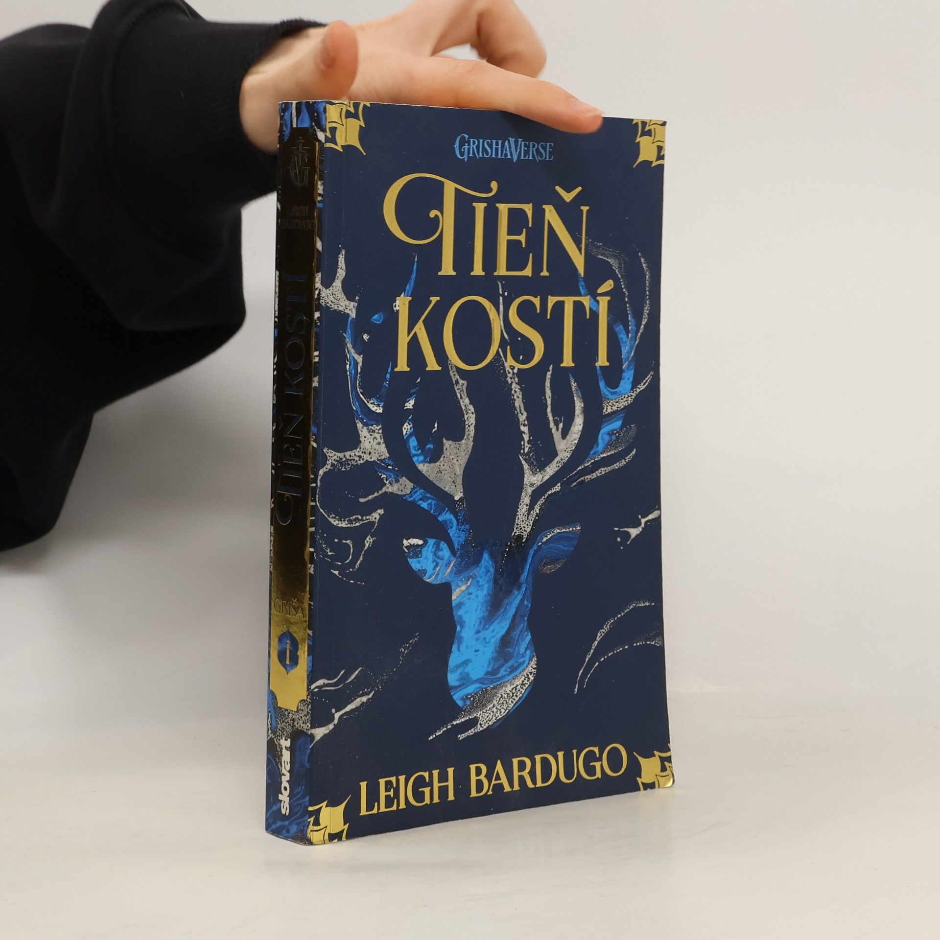 Leigh Bardugo Tieň kostí