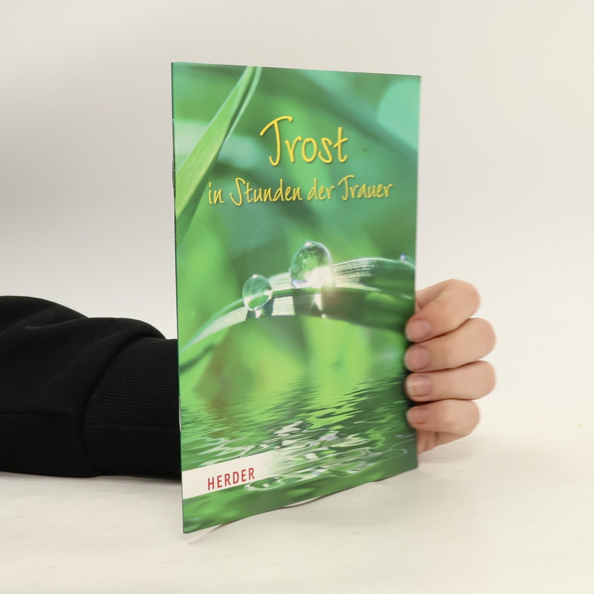 Kolektív autorov Trost in Stunden der Trauer