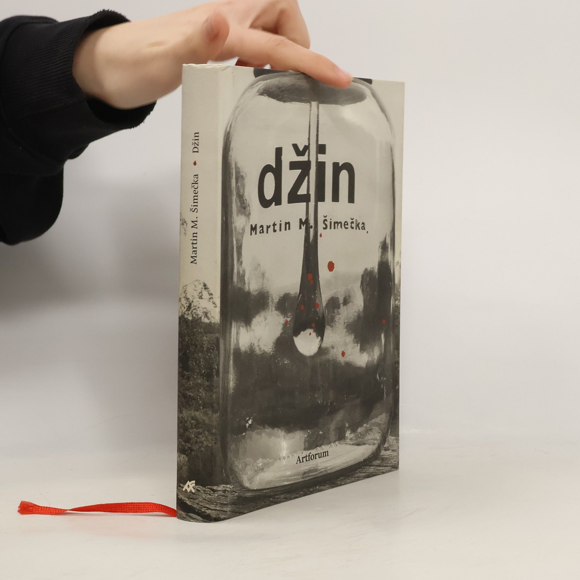 Martin M. Šimečka Džin