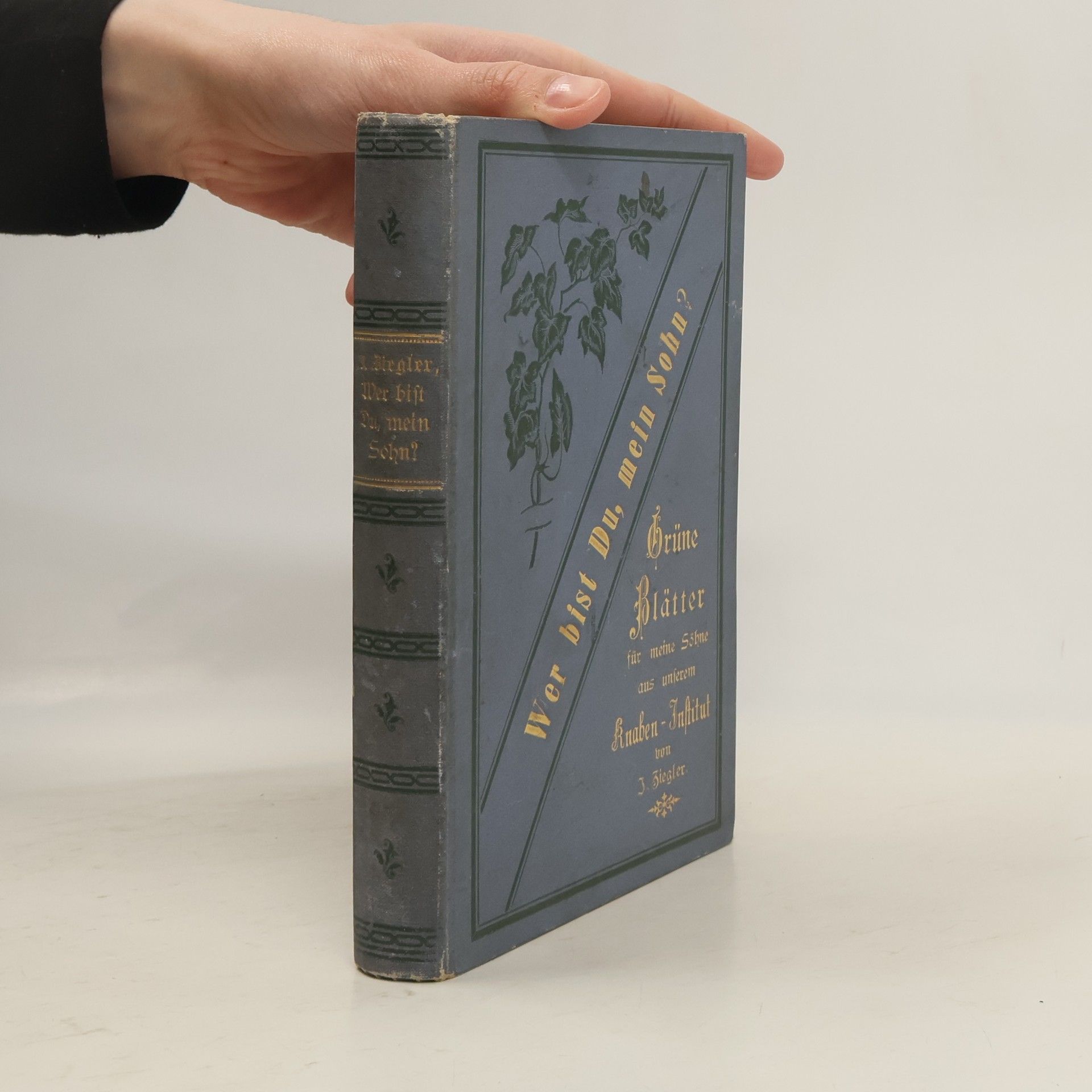 AA.VV. Wer bist Du, mein Sohn?