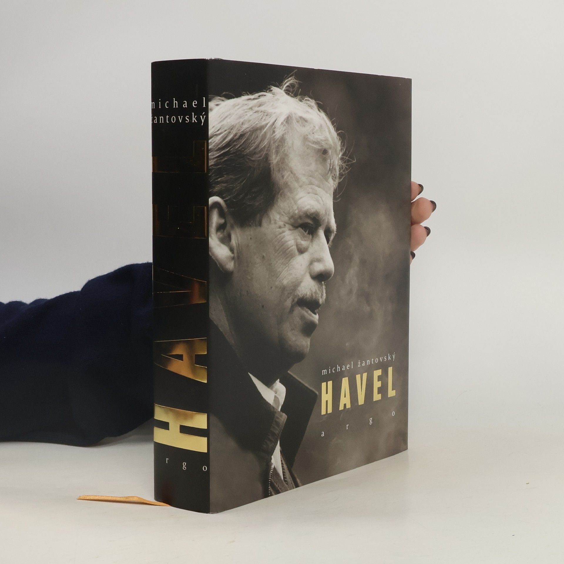 Michael Žantovský Havel