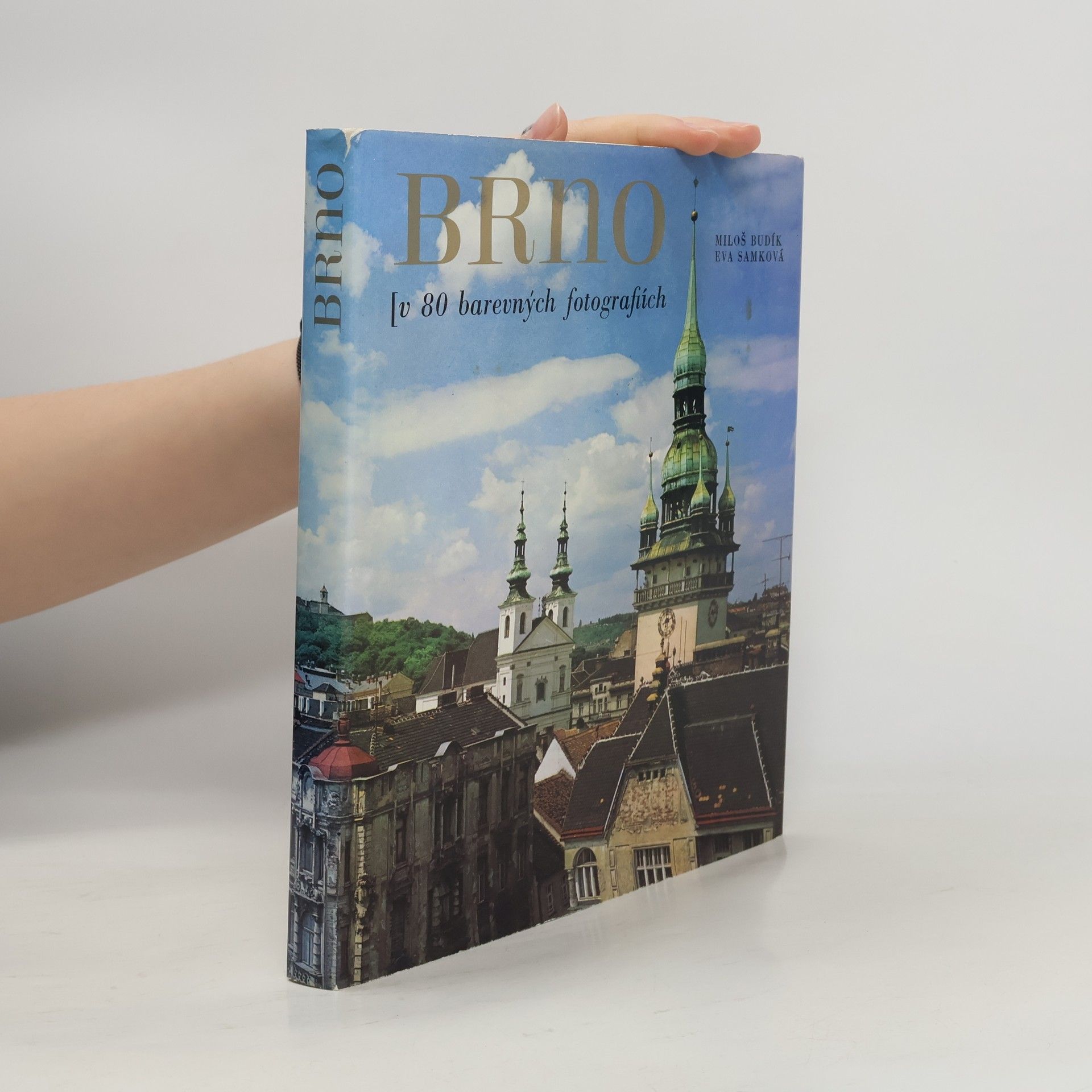 Brno. V 80 barevných fotografiích