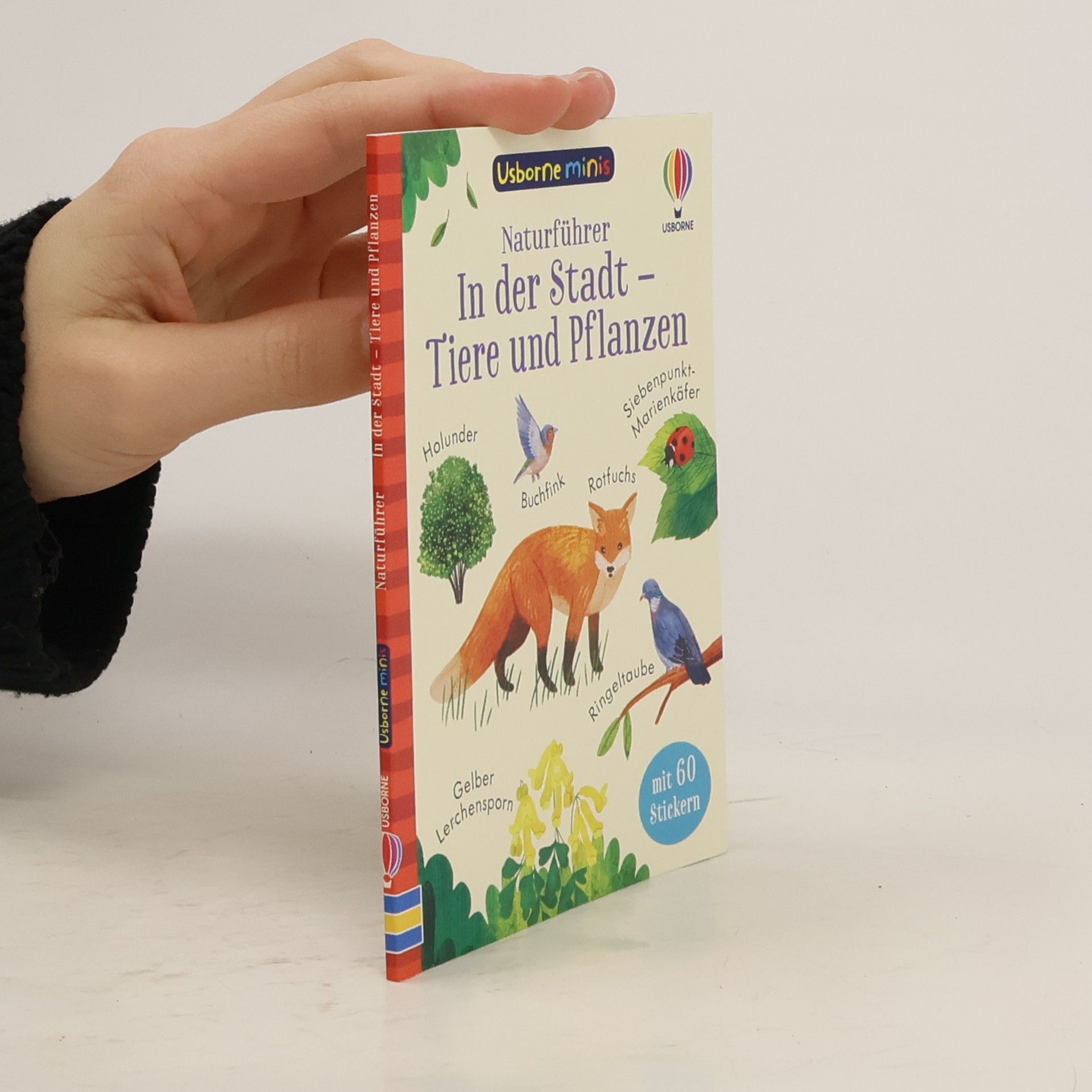 Collectif d'auteurs Usborne Minis Naturführer: In der Stadt - Tiere und Pflanzen