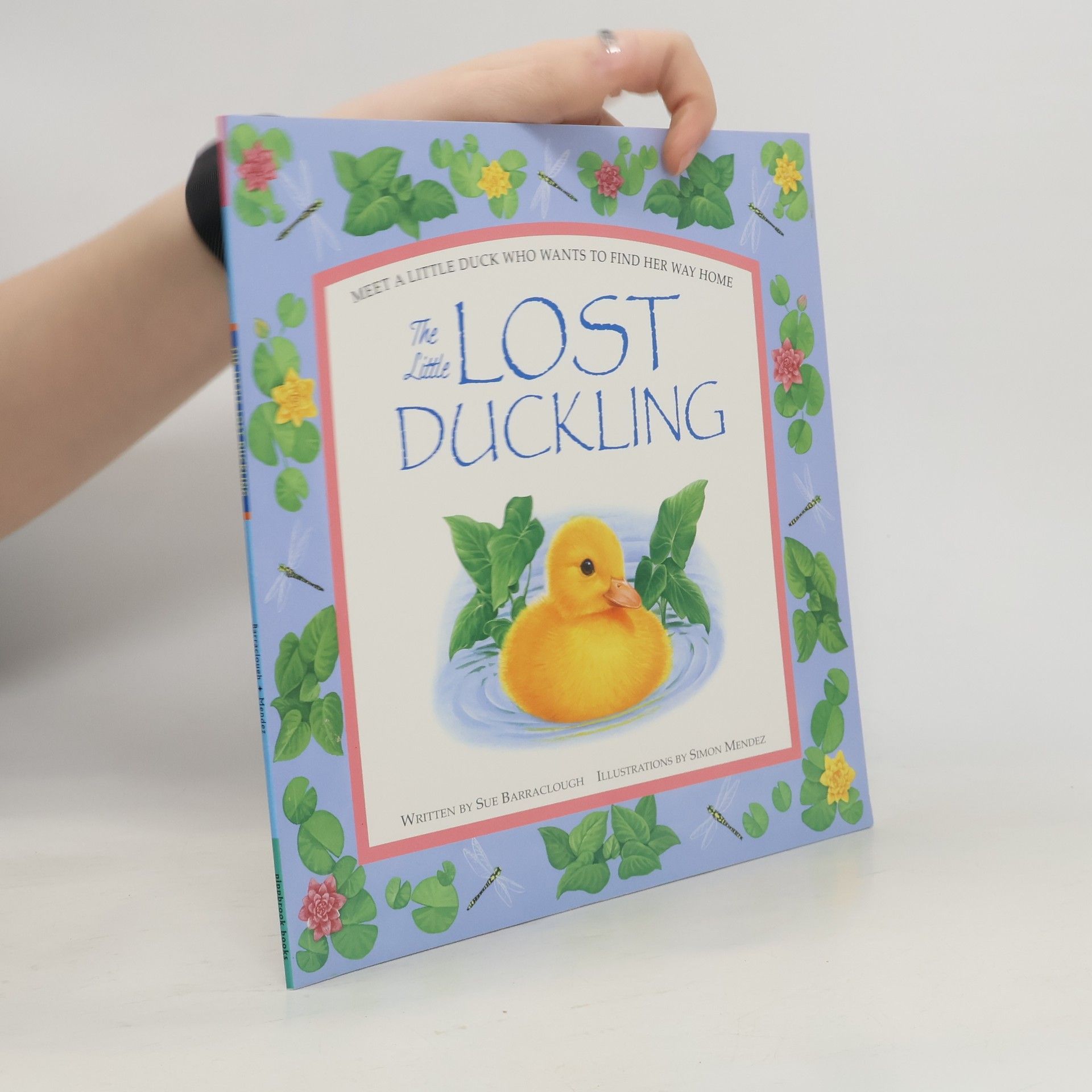 Sue Barraclough Little Lost Duckling