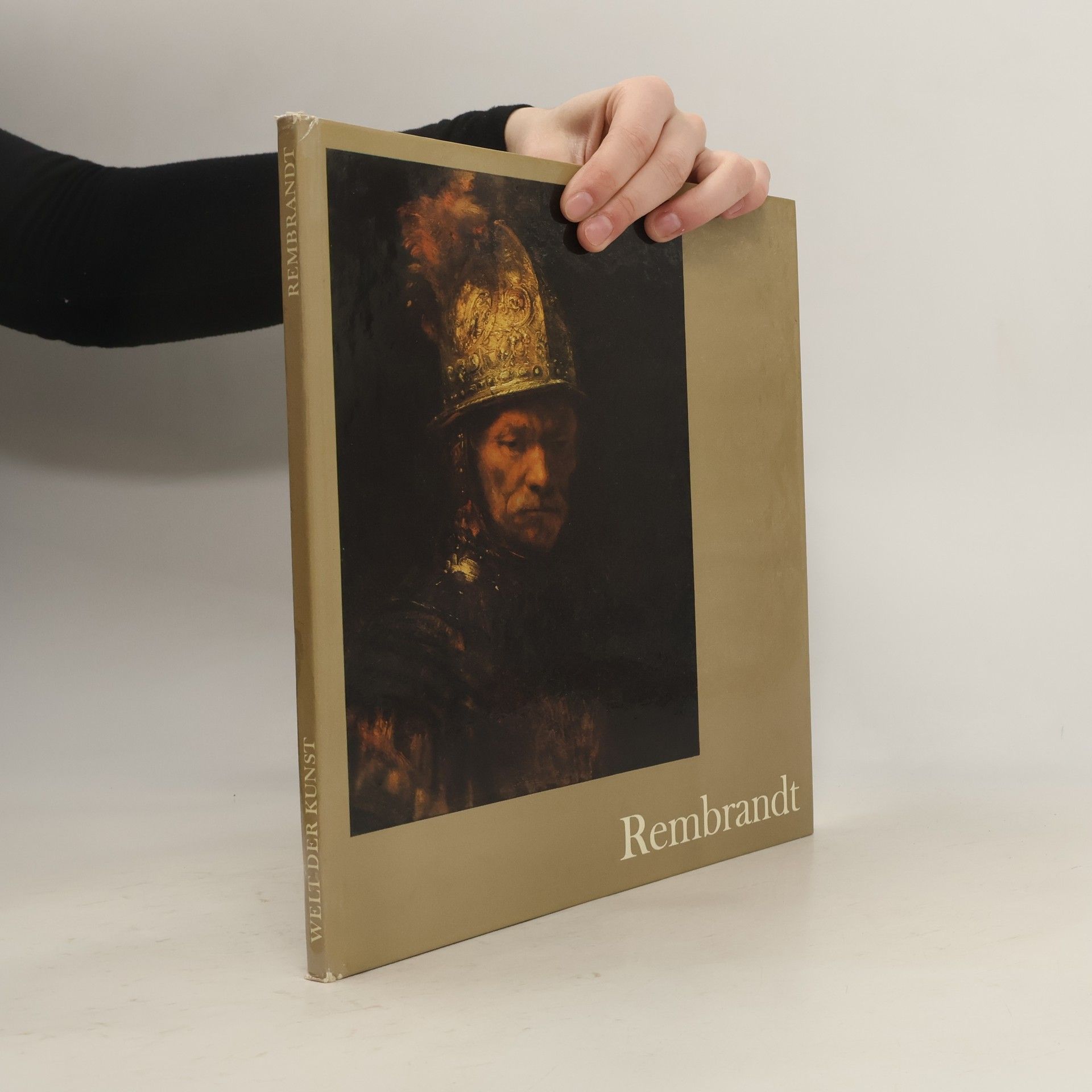 Erpel Fritz Rembrandt