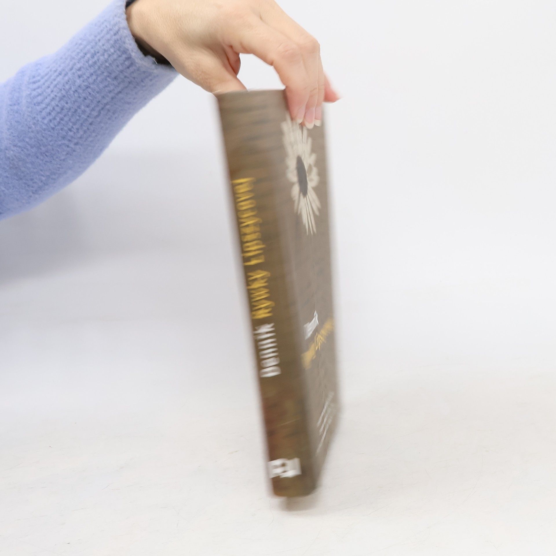 Alexandra Zapruder Denník Rywky Lipszycovej