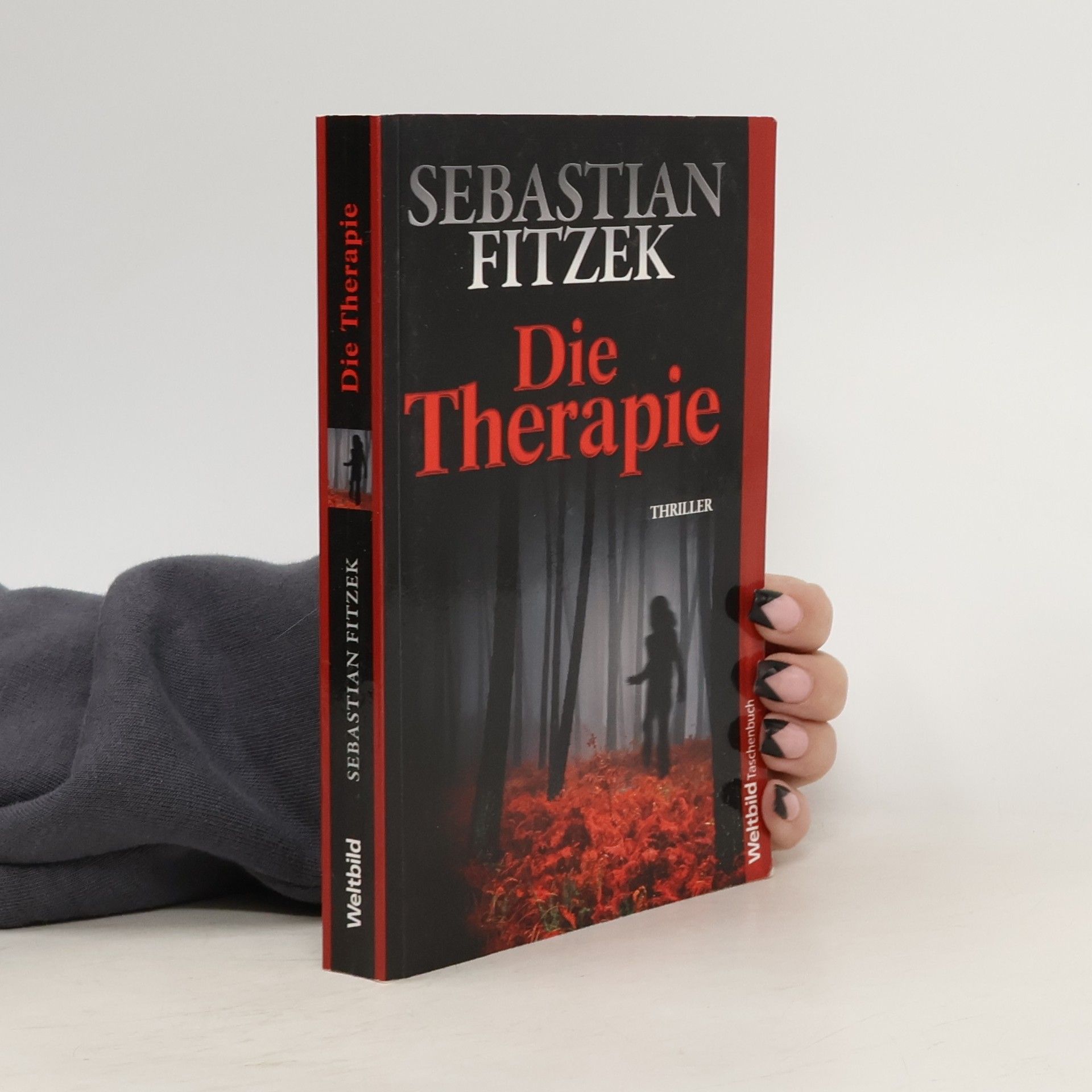 Sebastian Fitzek Die Therapie