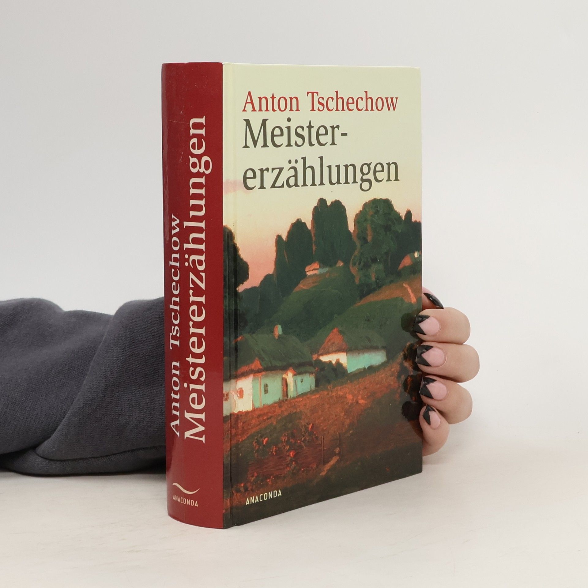 Anton Chekhov Meistererzählungen