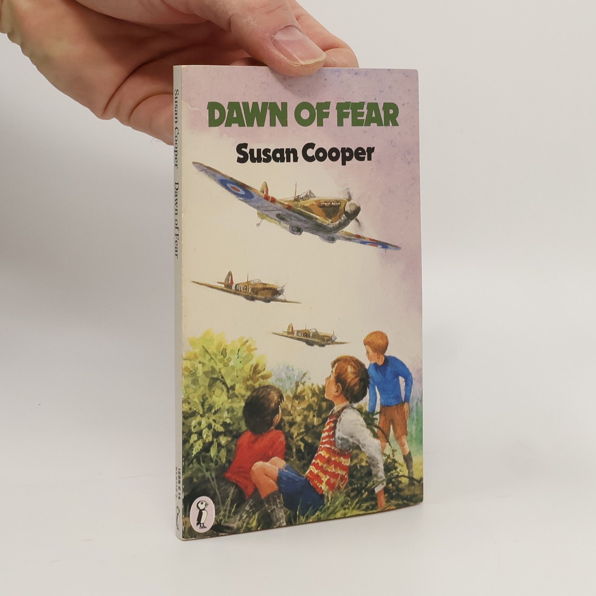 Susan Cooper Dawn of Fear