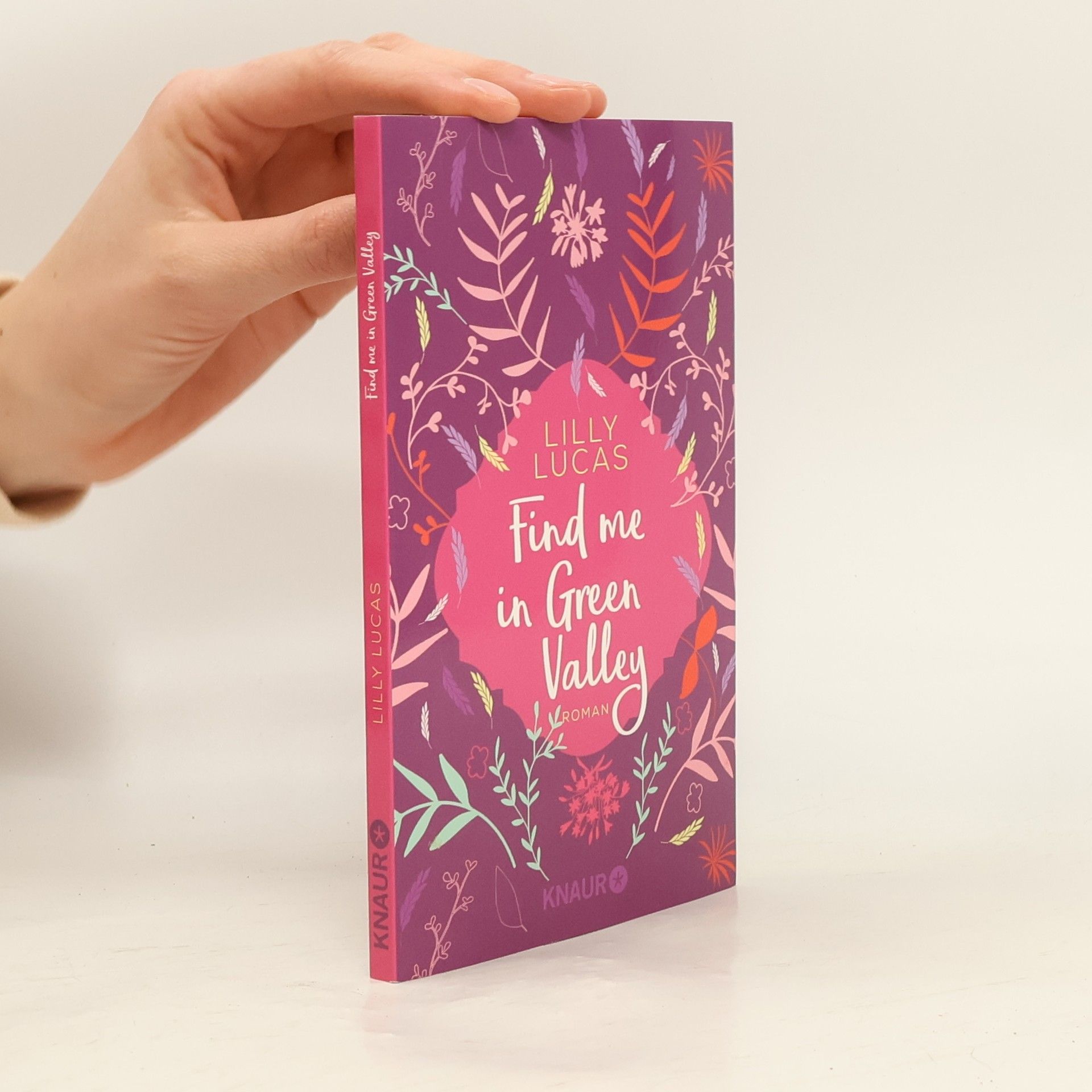 Lilly Lucas Find me in Green Valley