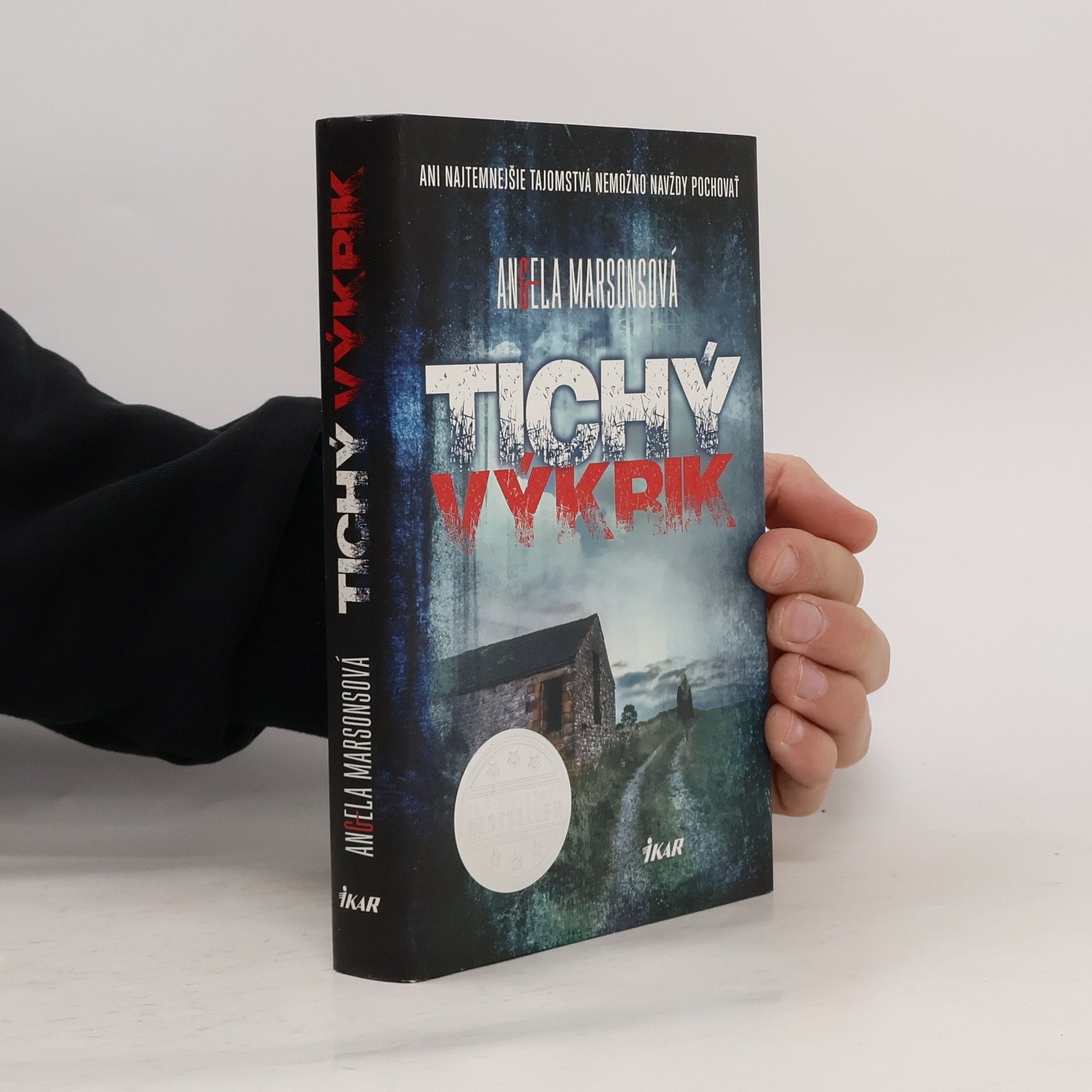 Angela Marsons Tichý výkrik