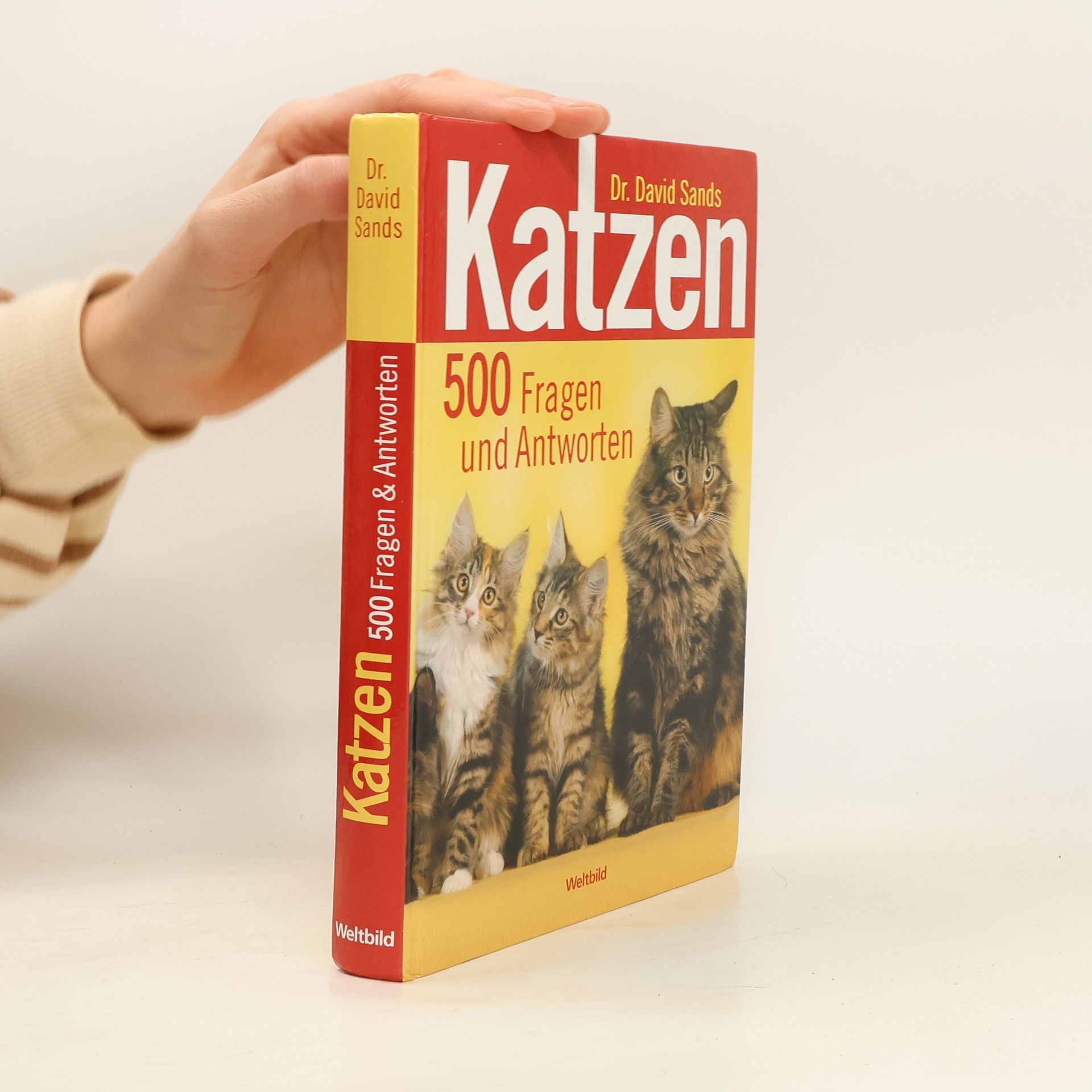 Katzen