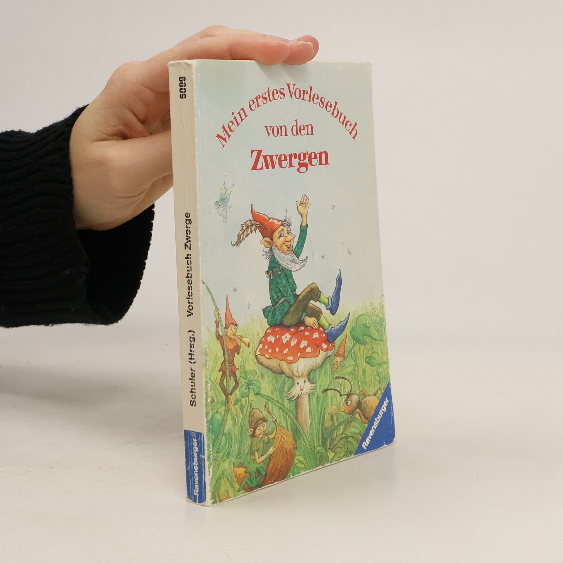 Mein erstes Vorlesebuch von den Zwergen