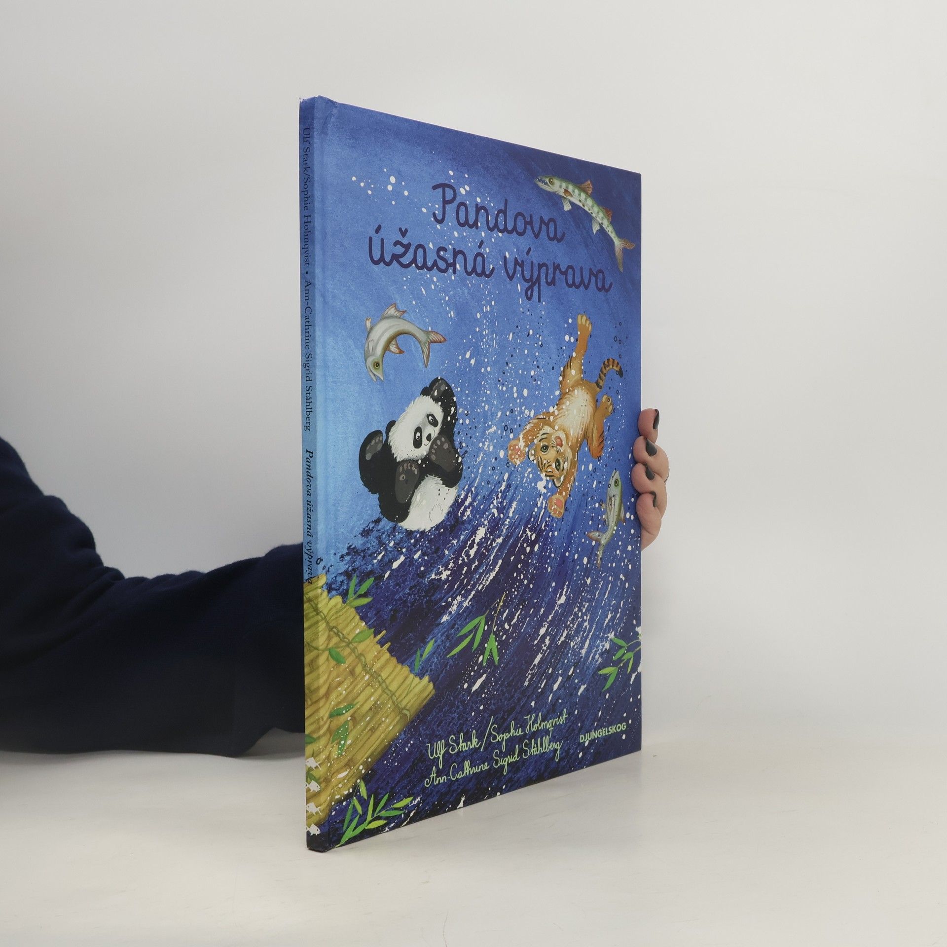 Autorenkollektiv Pandova úžasná výprava