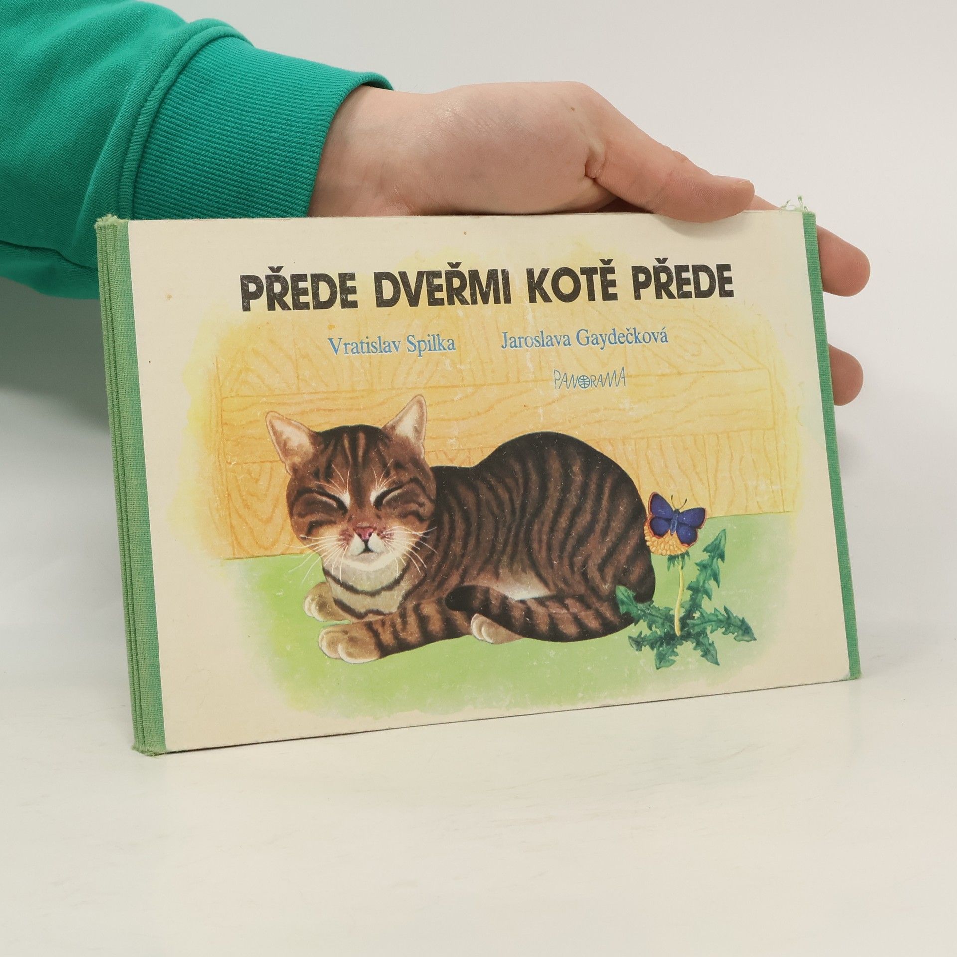 Přede dveřmi kotě přede