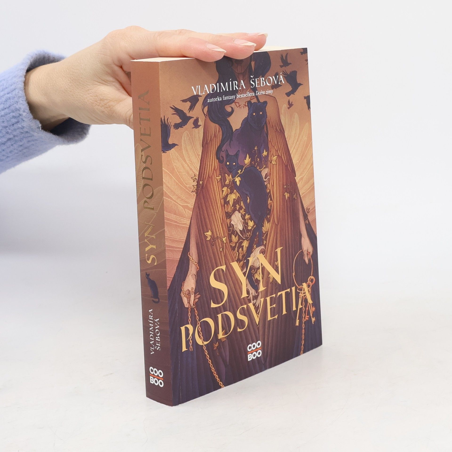 Vladimíra Šebová Syn podsvetia