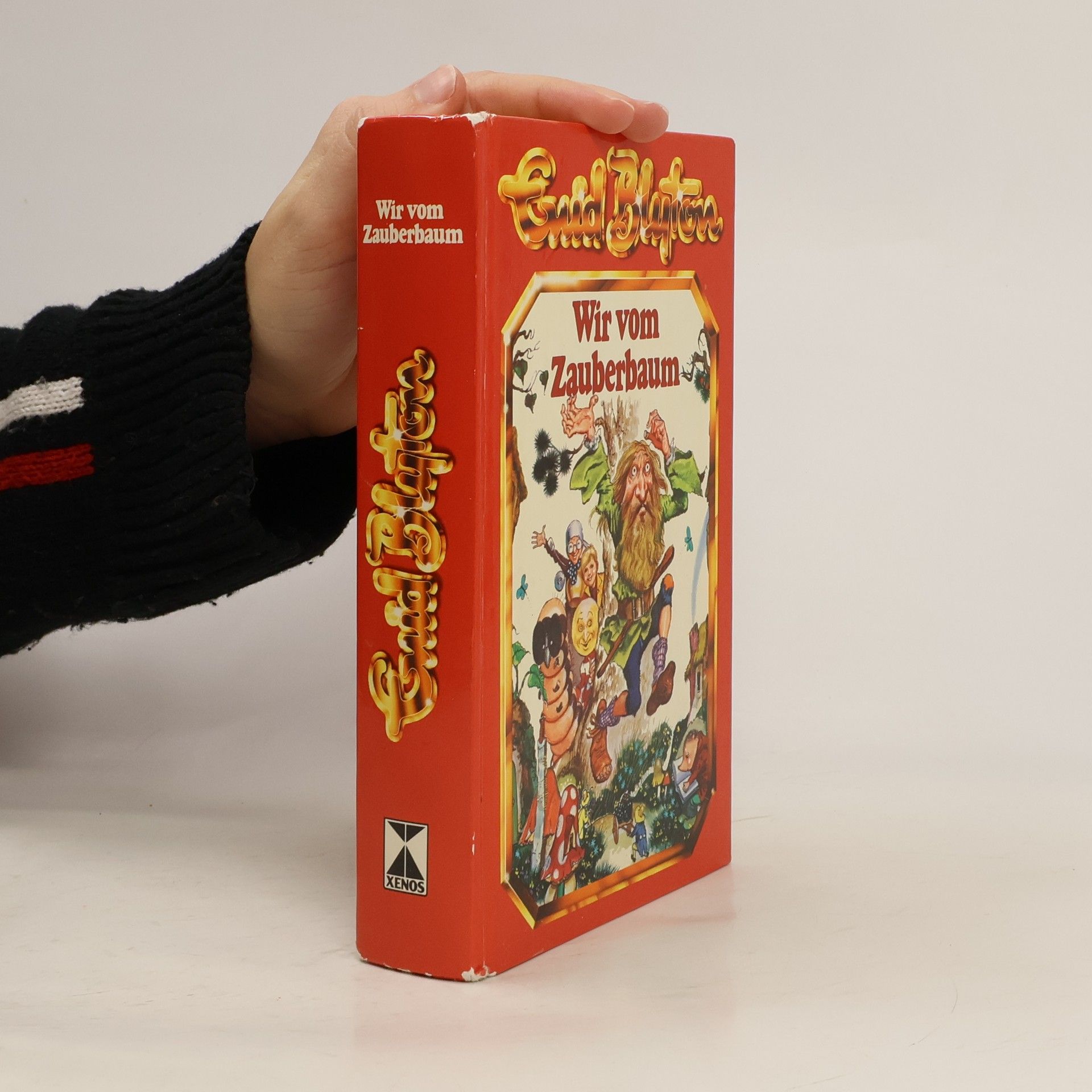 Enid Blyton Wir vom Zauberbaum