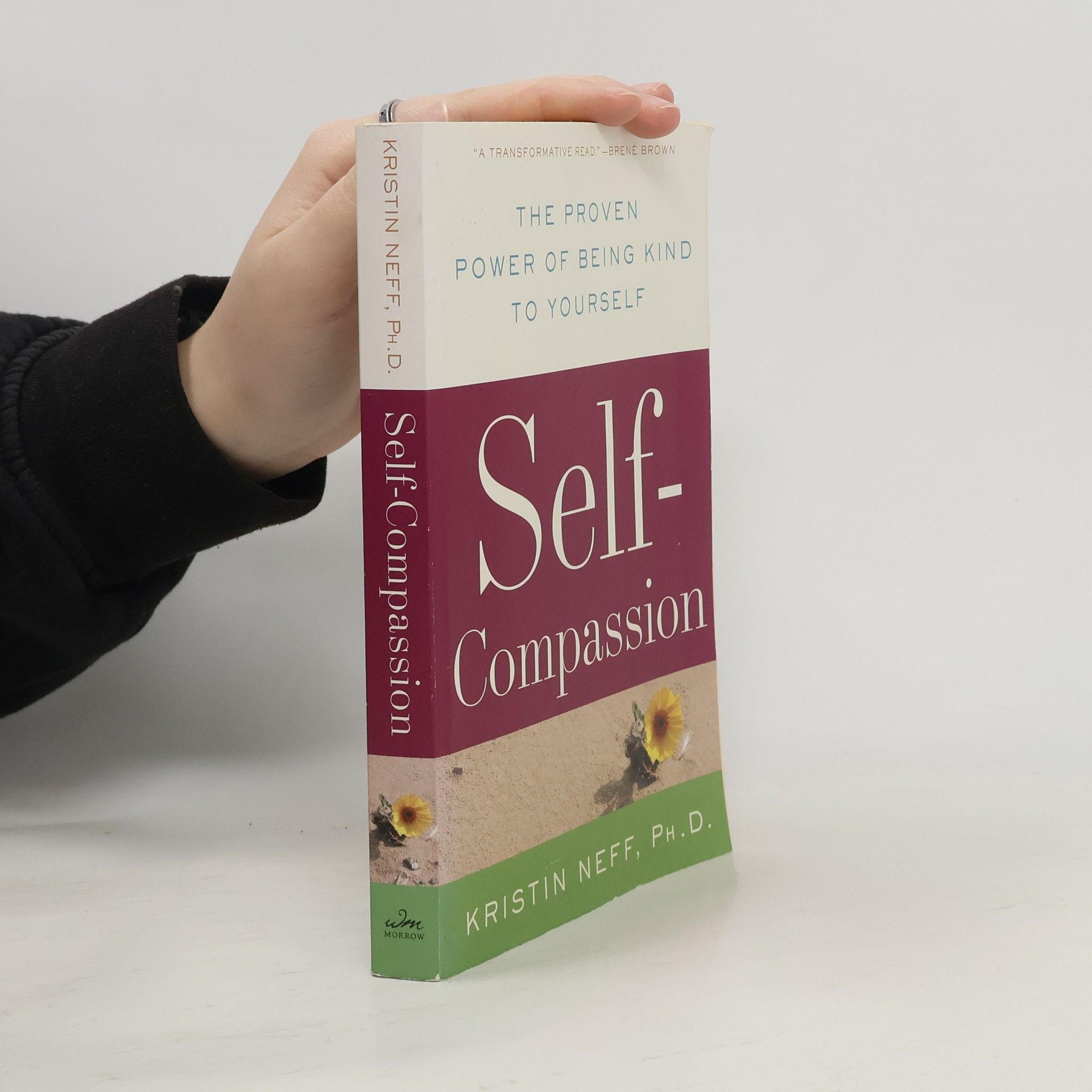 Kristin Neff Self-compassion