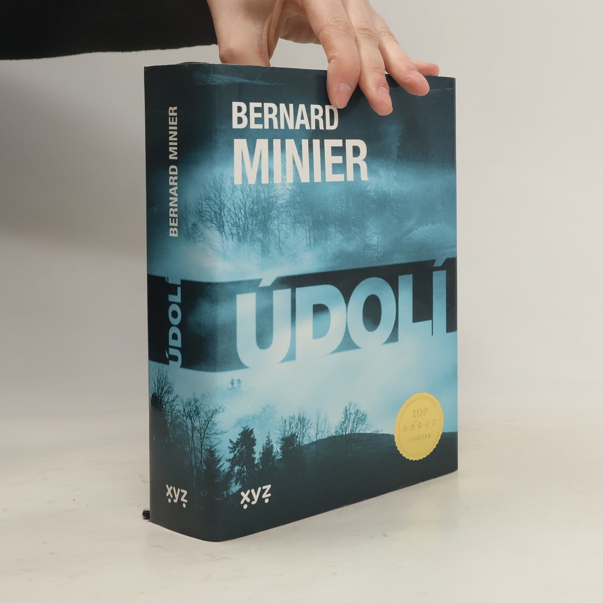 Bernard Minier Údolí