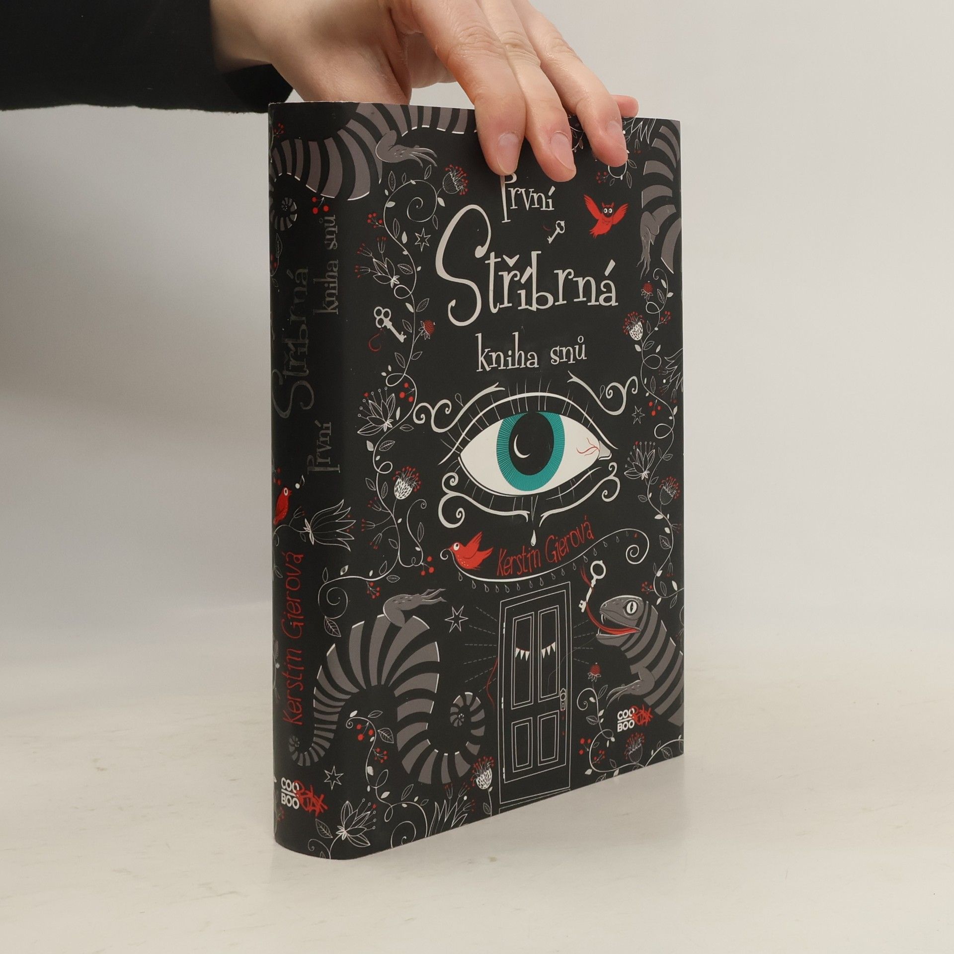 Kerstin Gier První stříbrná kniha snů