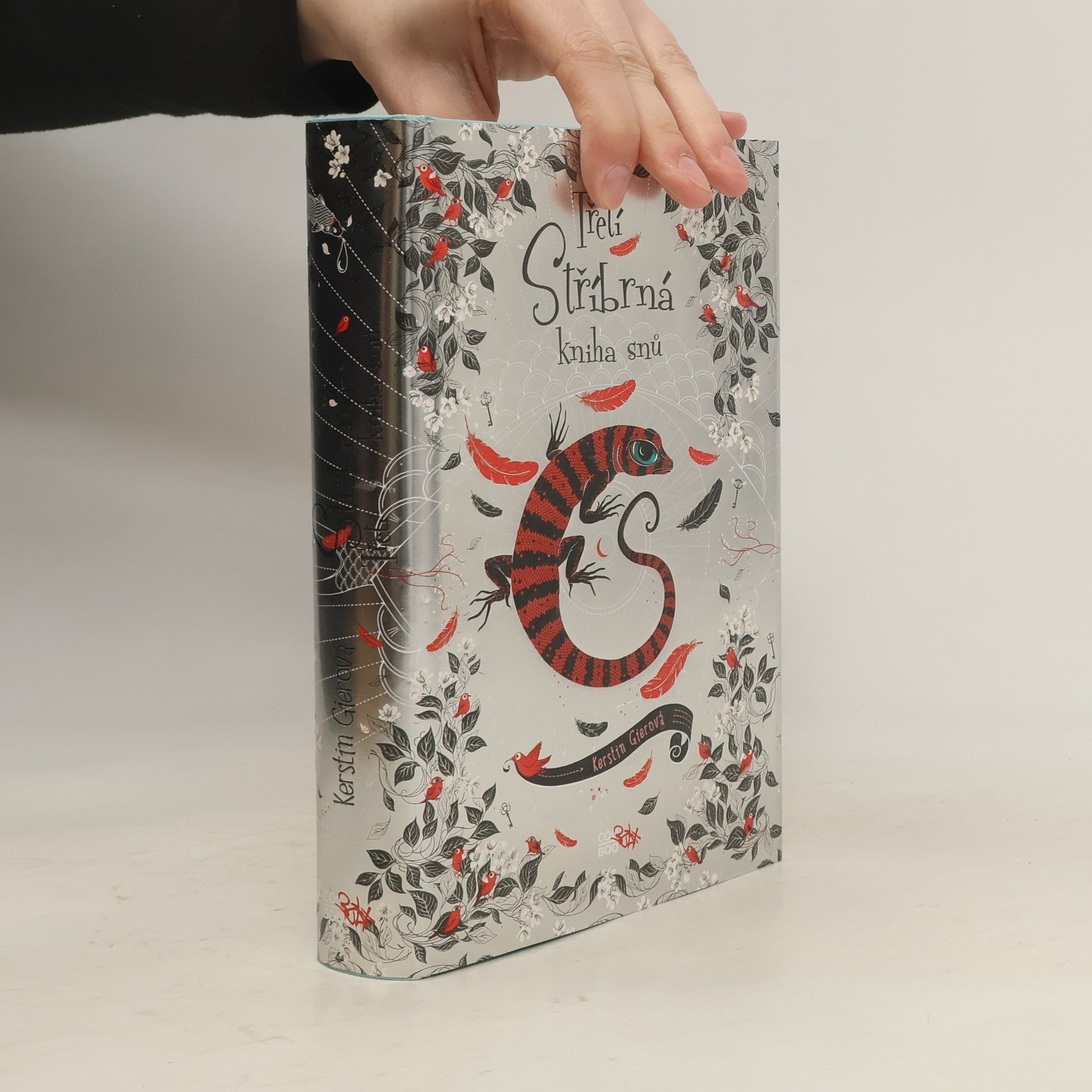 Kerstin Gier Třetí stříbrná kniha snů