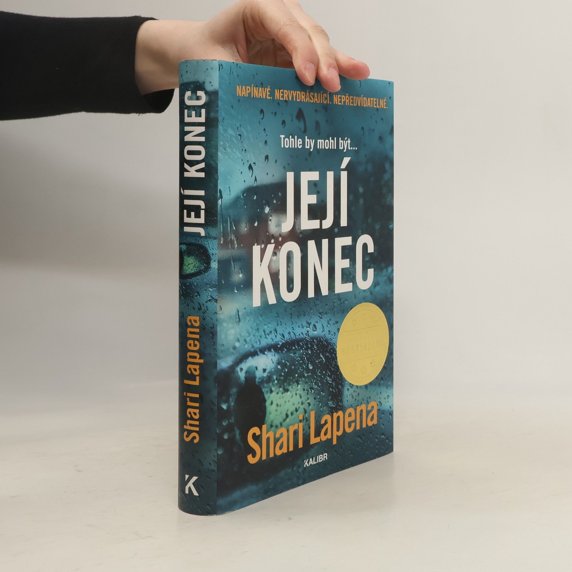 Shari Lapena Její konec