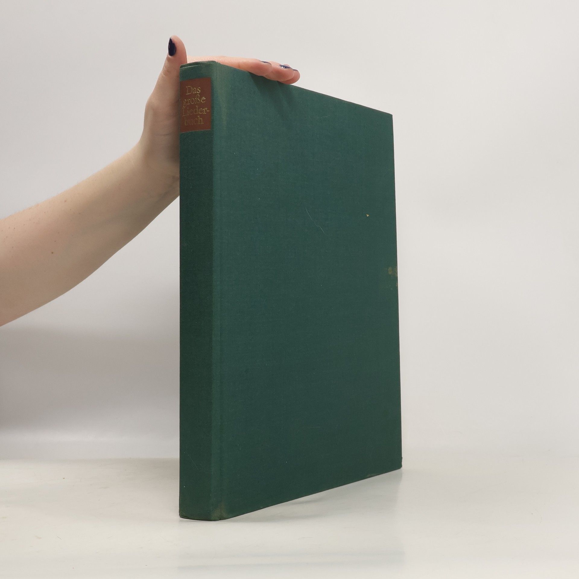 Anne Diekmann Das grosse Liederbuch