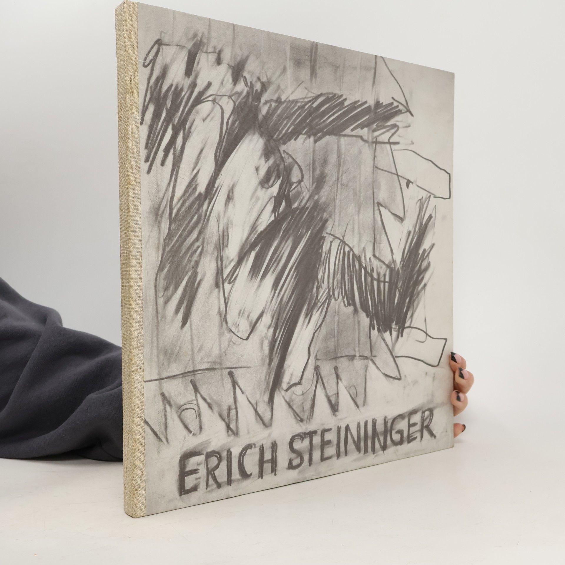 Otto Breicha Erich Steininger. Zeichnungen