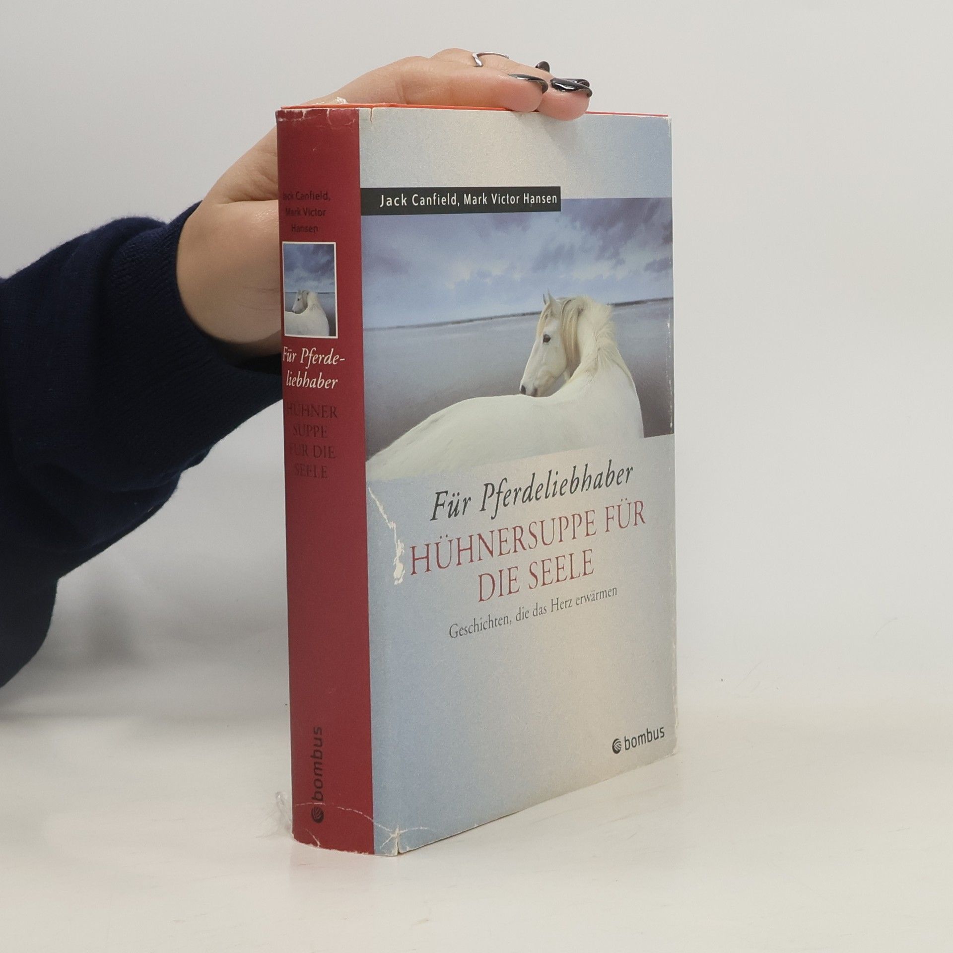 Jack Canfield Hühnersuppe für die Seele. Für Pferdeliebhaber