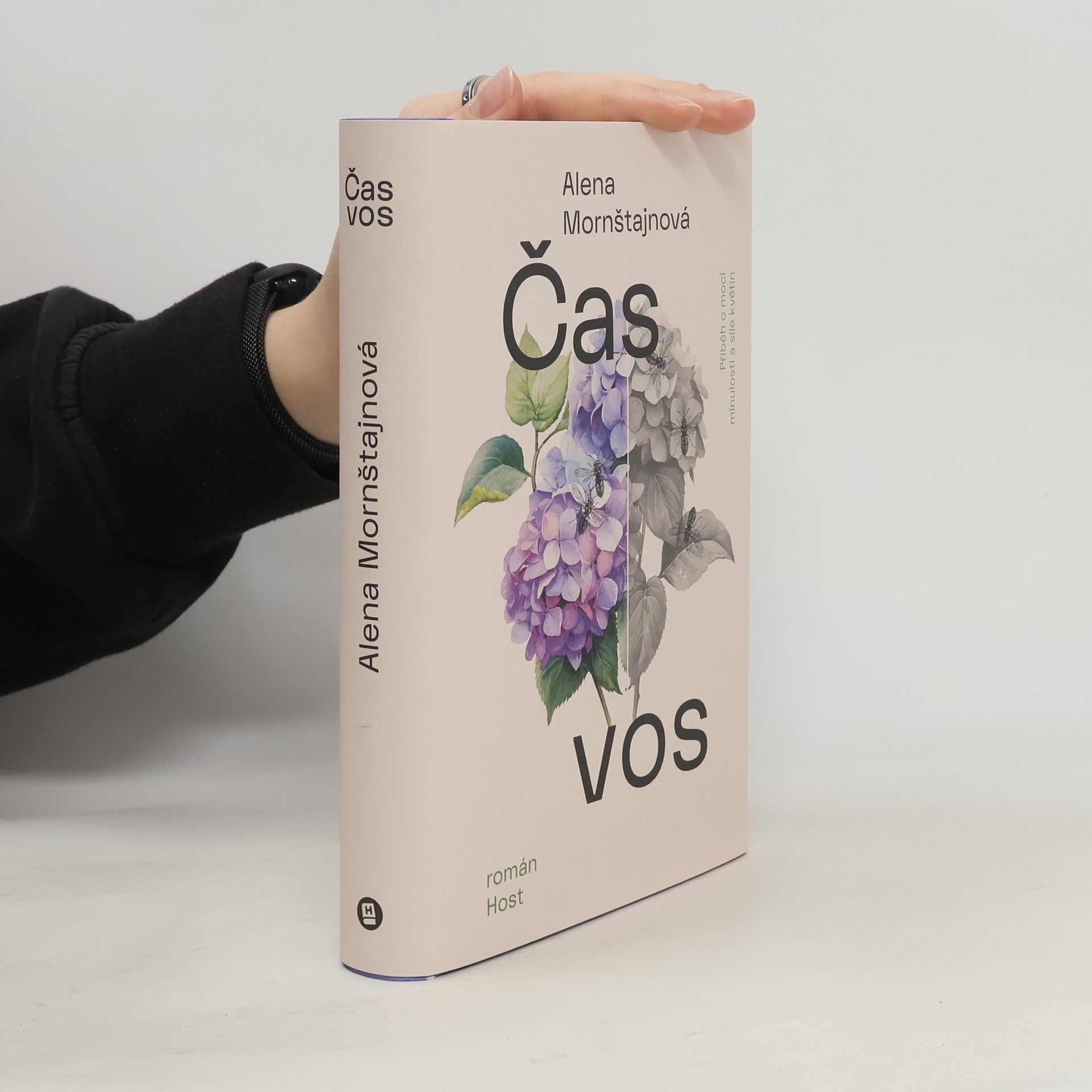 Alena Mornštajnová Čas vos