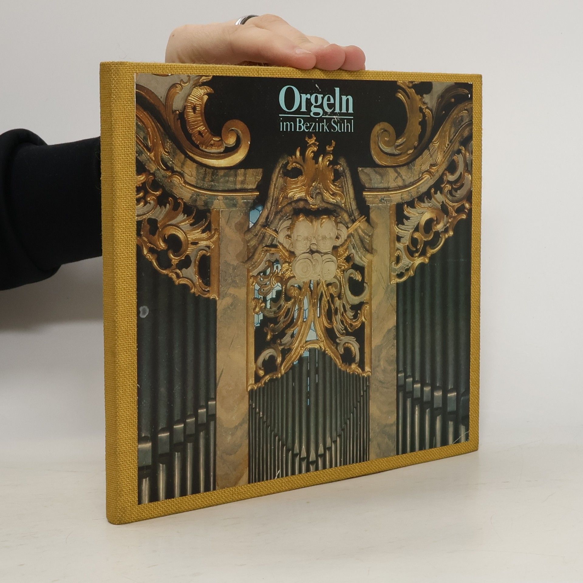 Jan H. Hauptmann Orgeln im Bezirk Suhl