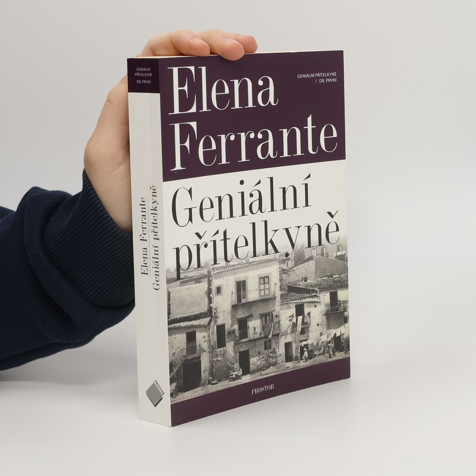 Elena Ferrante Geniální přítelkyně 1. Dětství a dospívání
