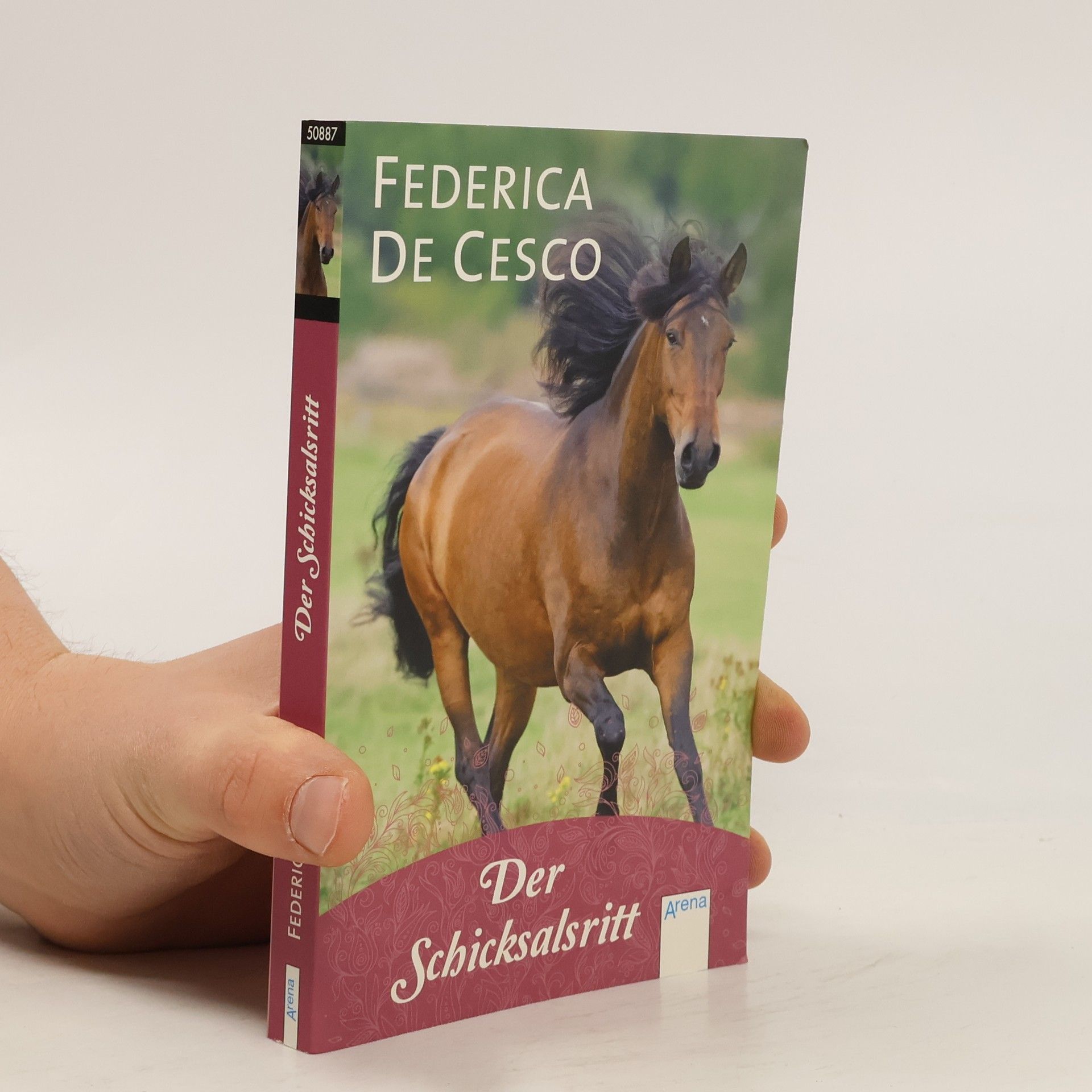 Federica de Cesco Der Schicksalsritt