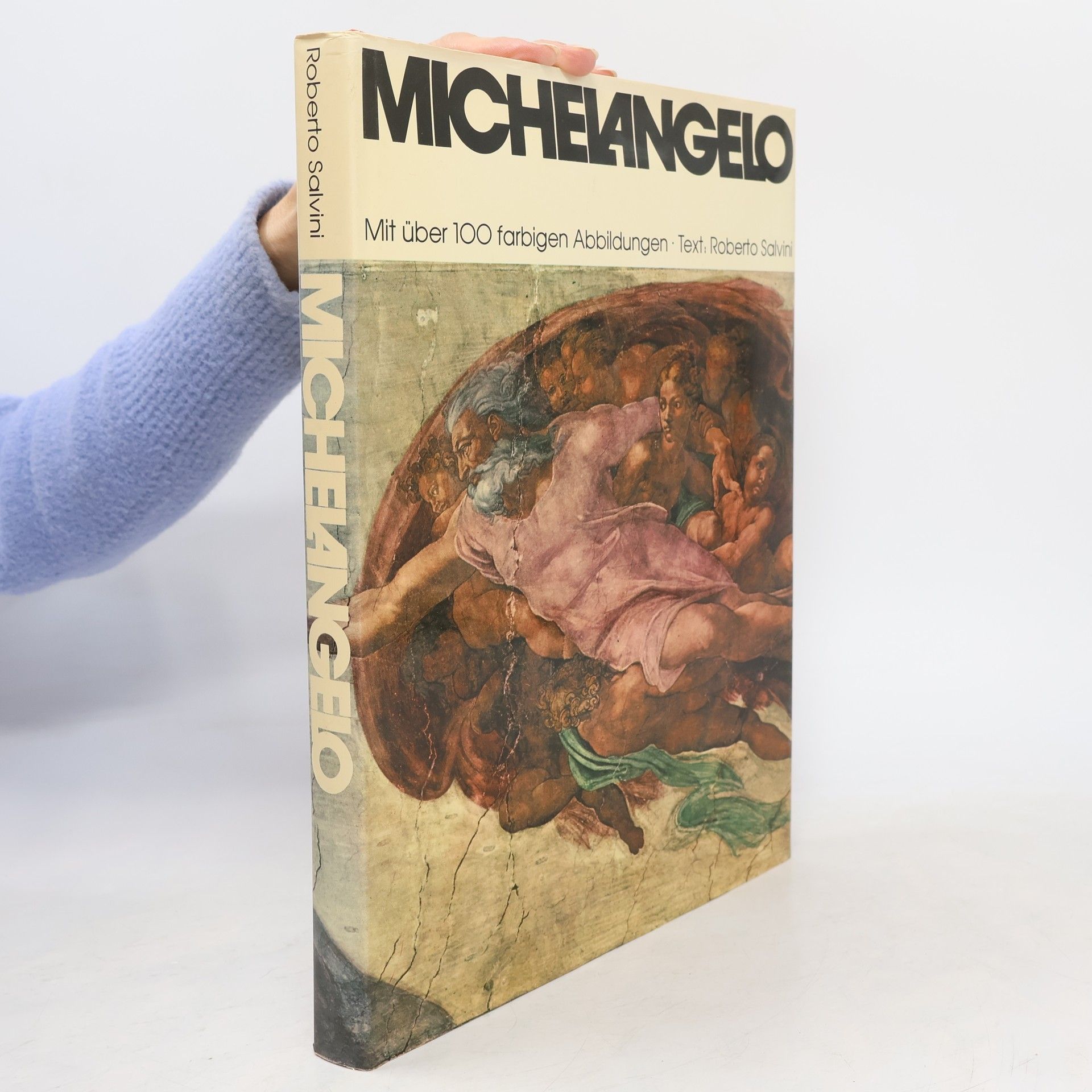 Roberto Salvini Michelangelo