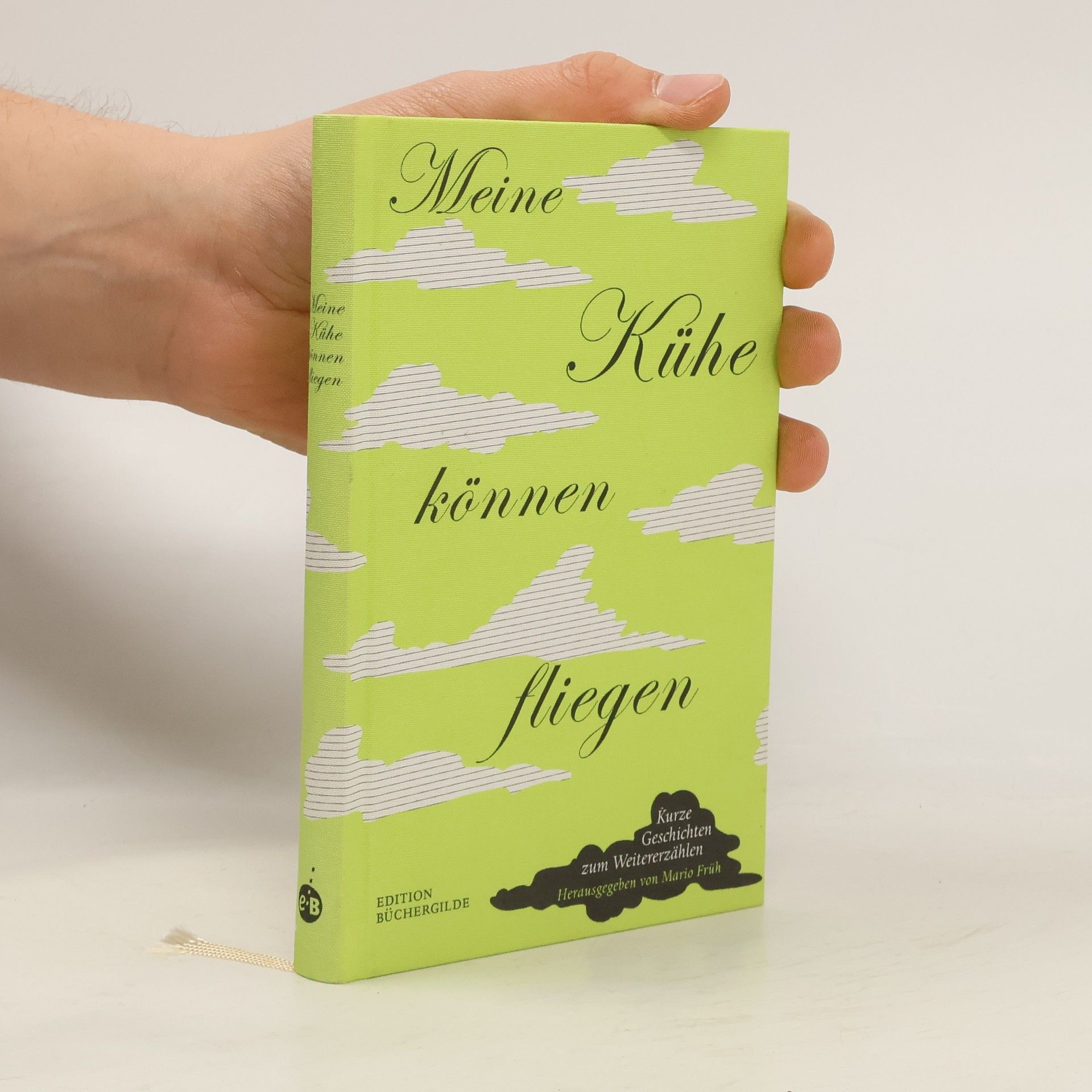 Mario Früh Meine Kühe können fliegen