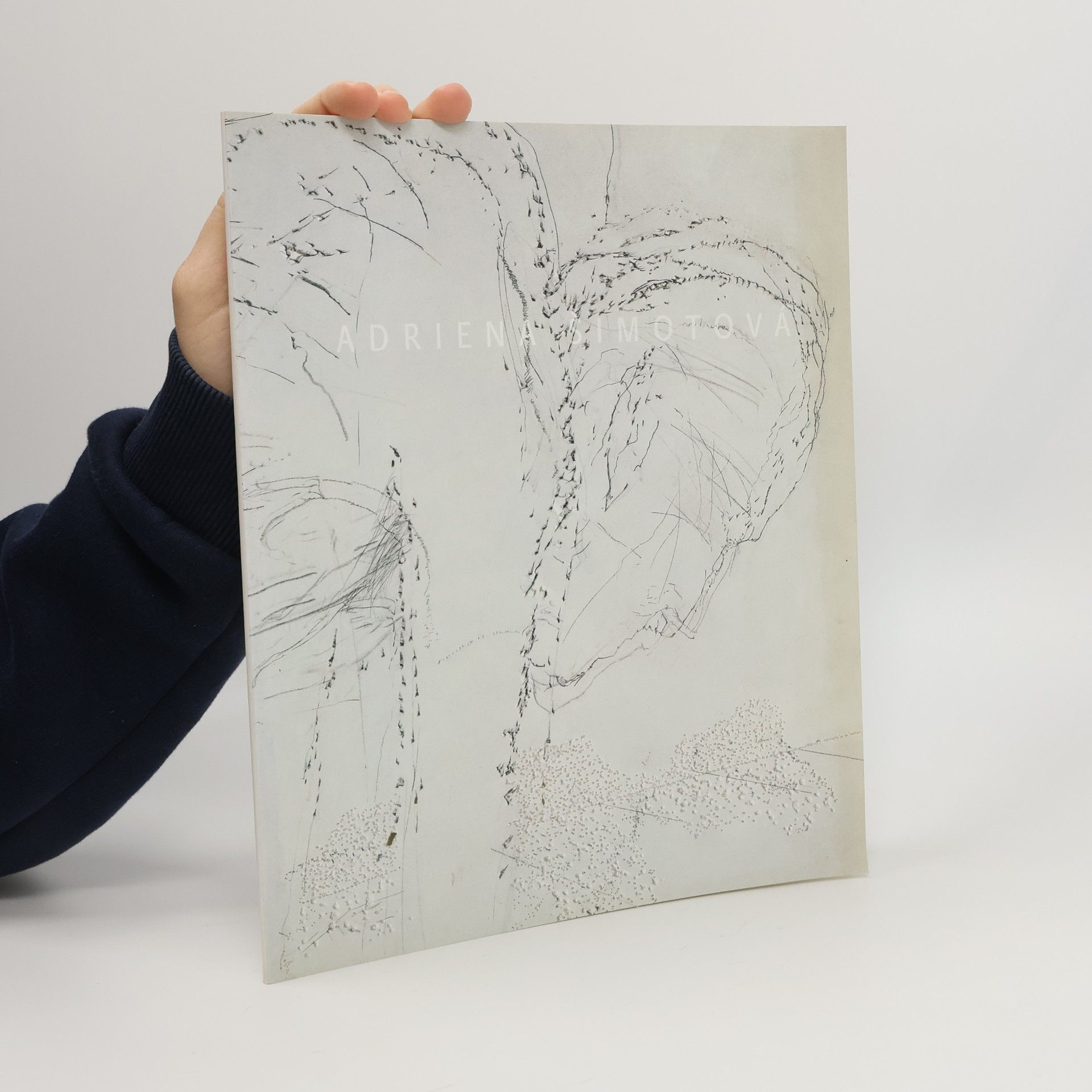 Adriena Šimotová : Perforace, kresby. Perforations, drawings