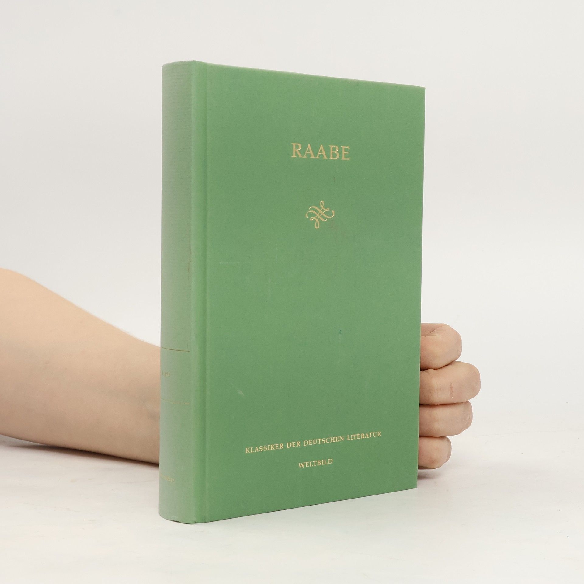 Auteurscollectief Klassiker der Deutschen Literatur. Raabe