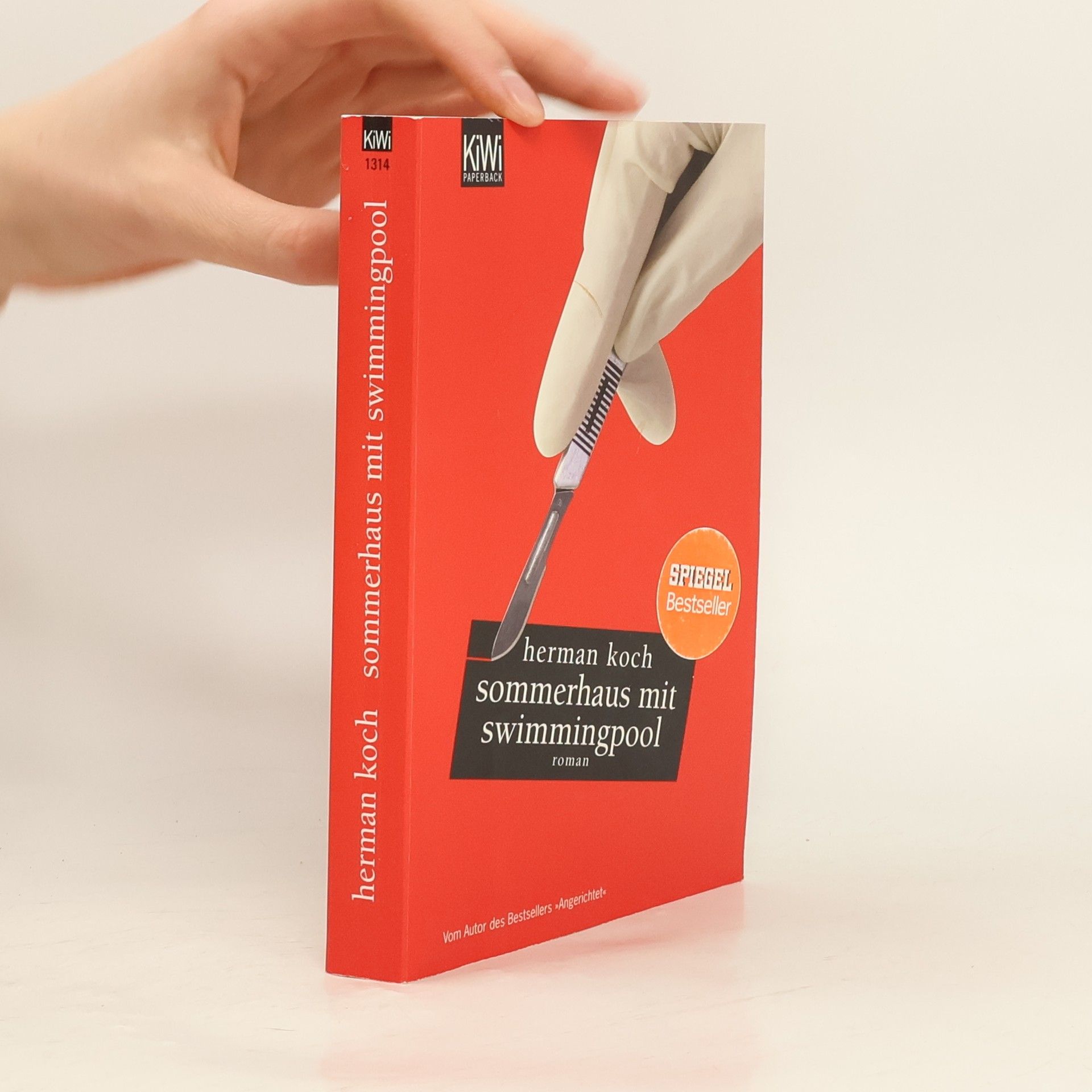 Herman Koch Sommerhaus mit Swimmingpool