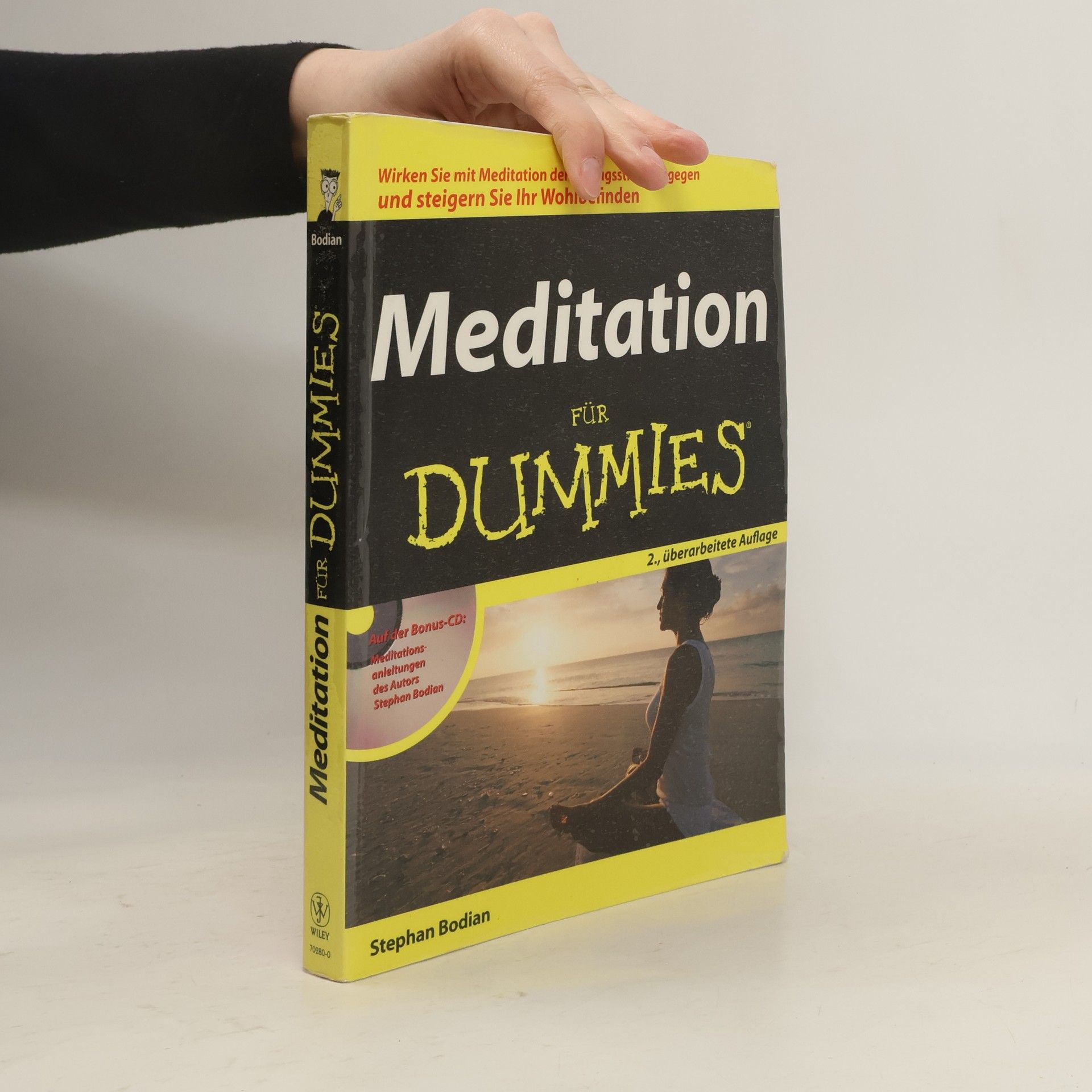 Stephan Bodian Meditation für Dummies