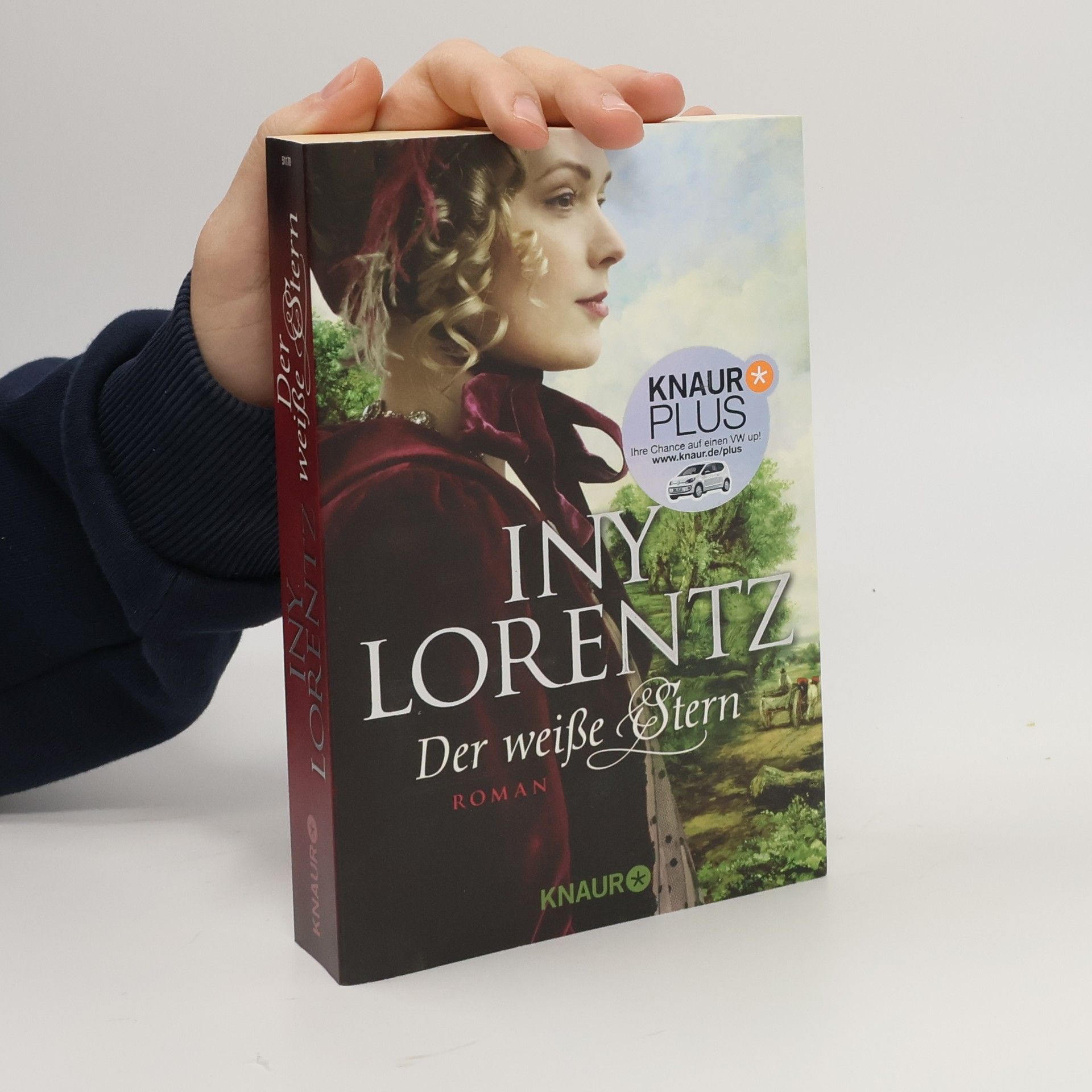 Iny Lorentz Der weiße Stern