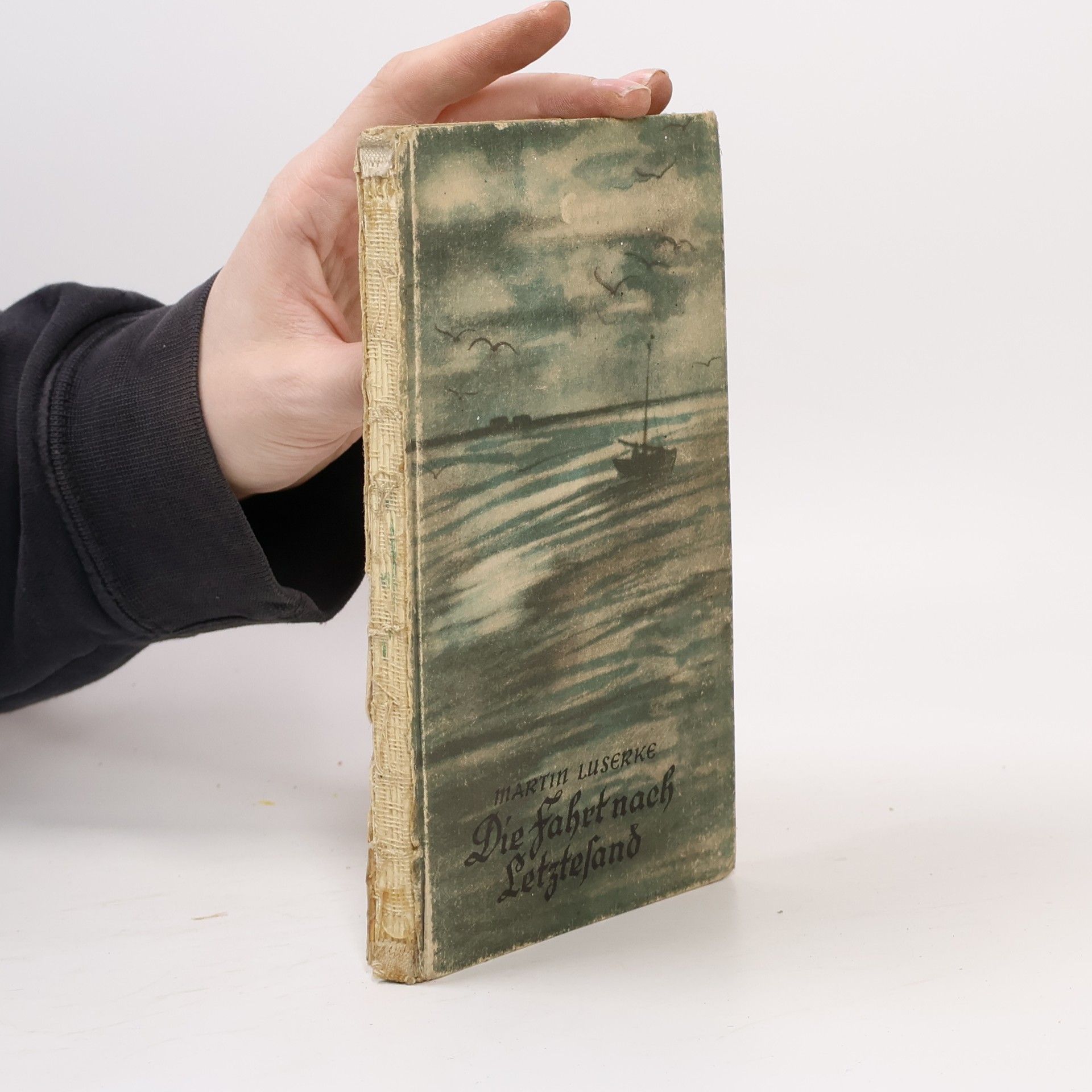 Martin Luserke Die fahrt nach