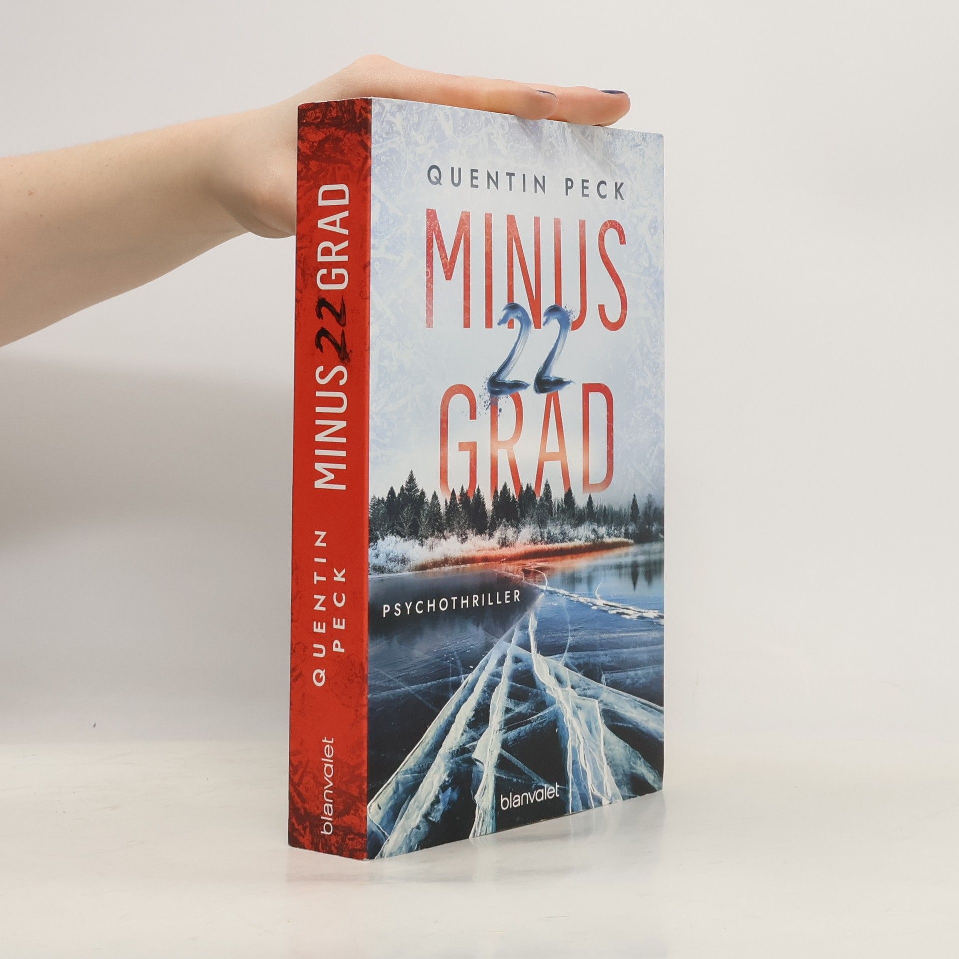 Quentin Peck Minus 22 Grad. Psychothriller